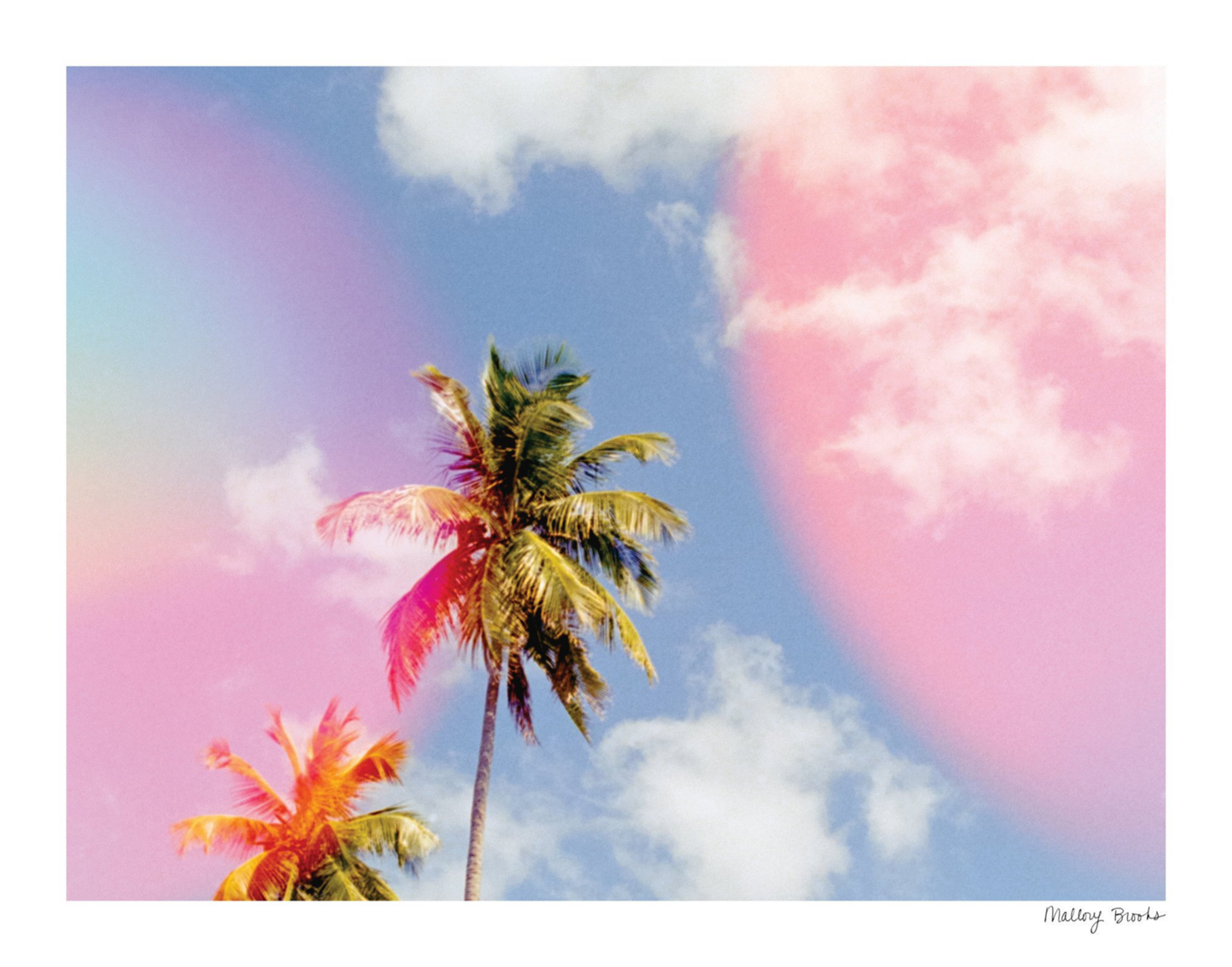 Pastel Paradise No. 4