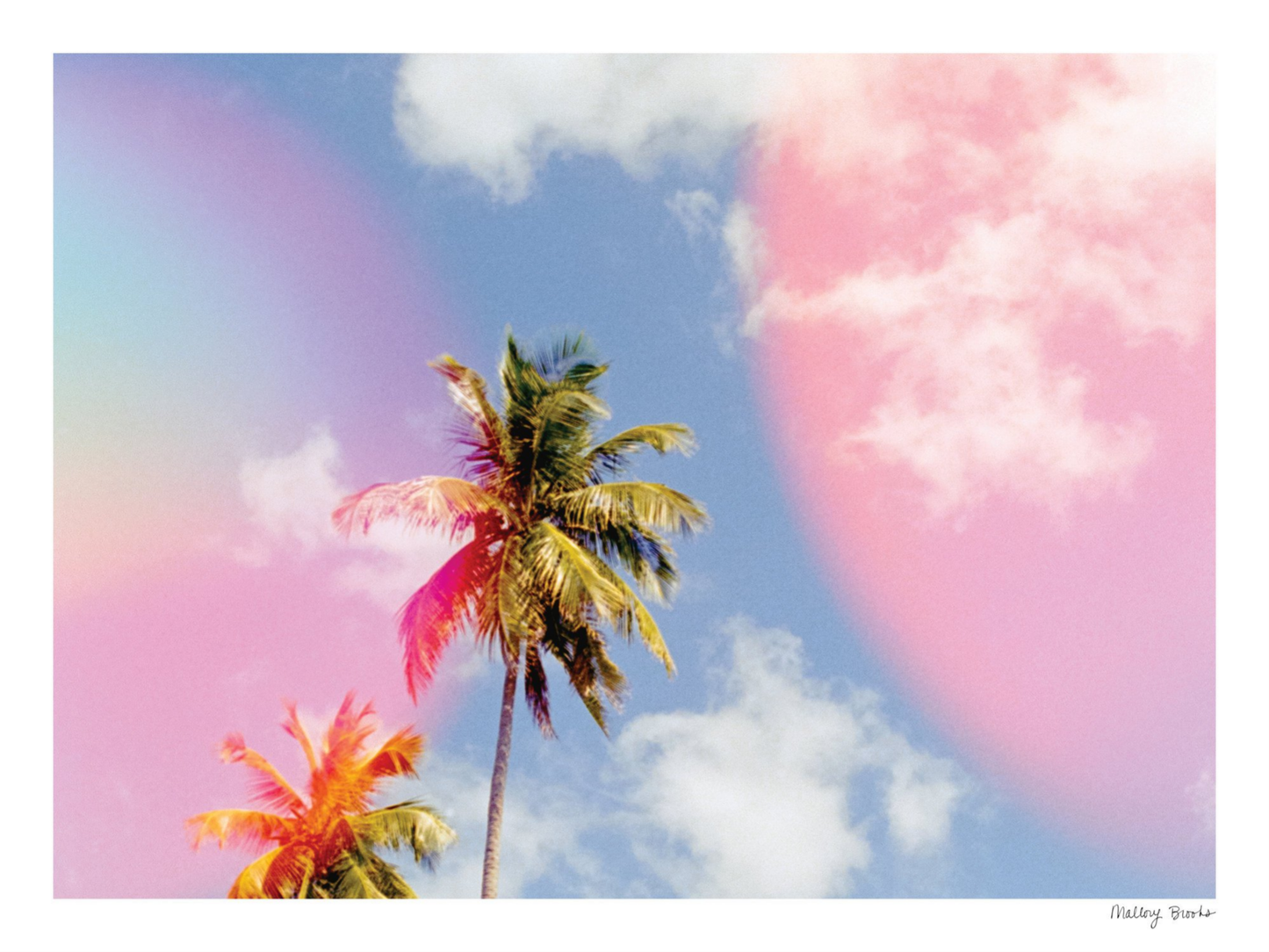 Pastel Paradise No. 4