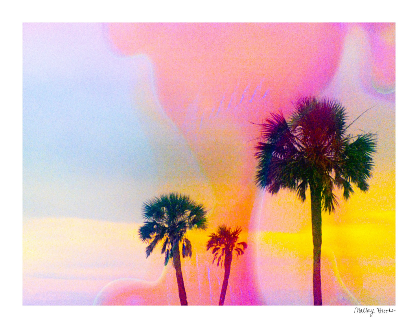 Pastel Paradise No. 5