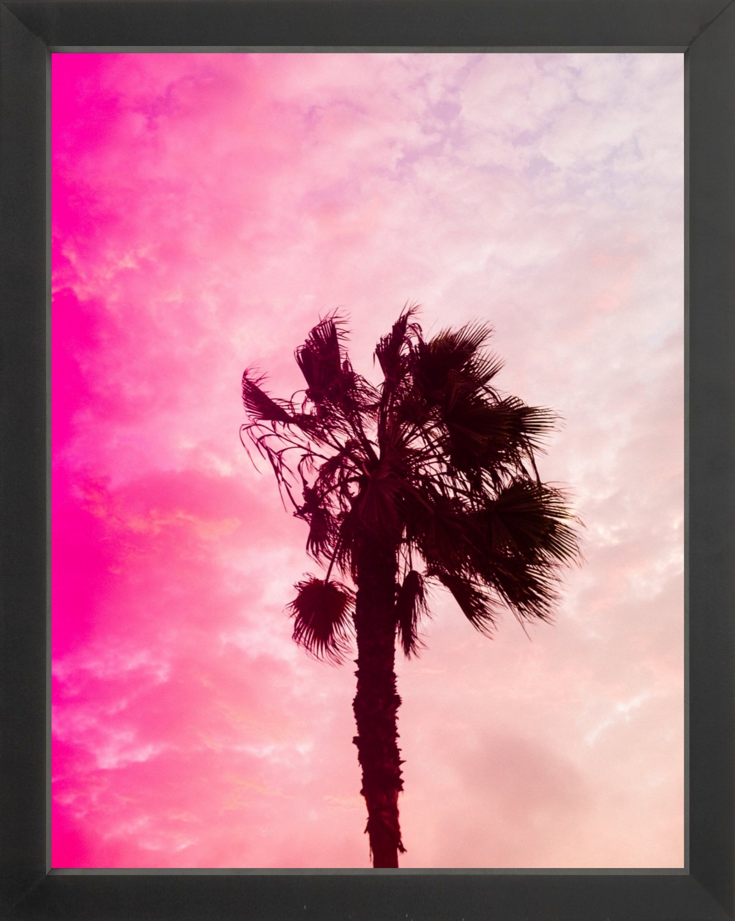 Pink Palm