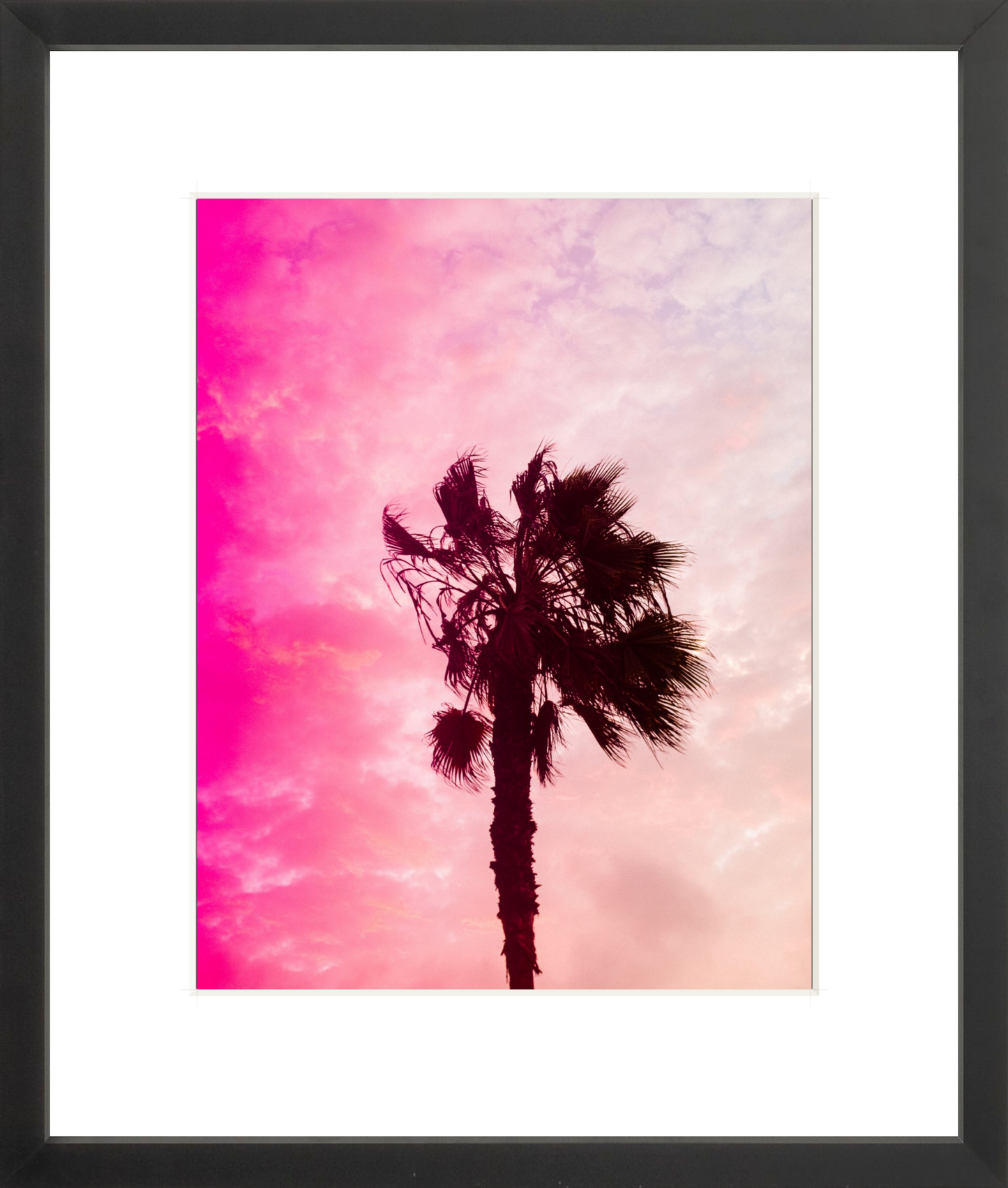 Pink Palm