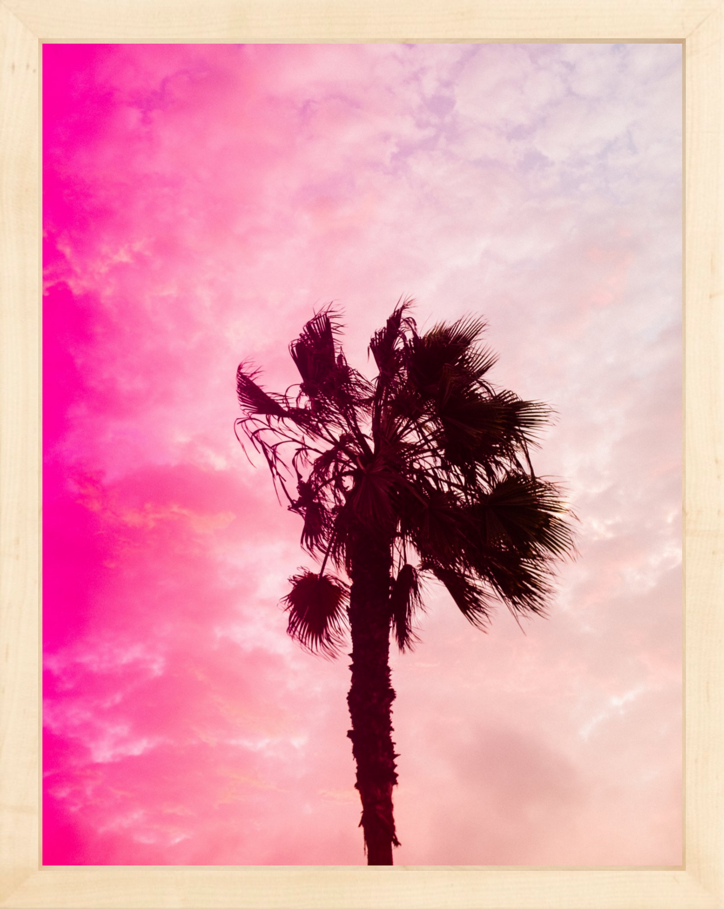 Pink Palm