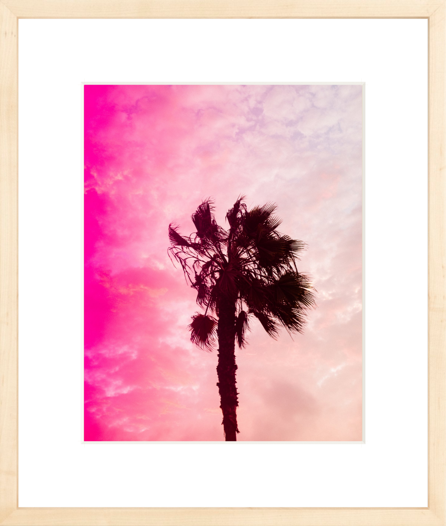 Pink Palm