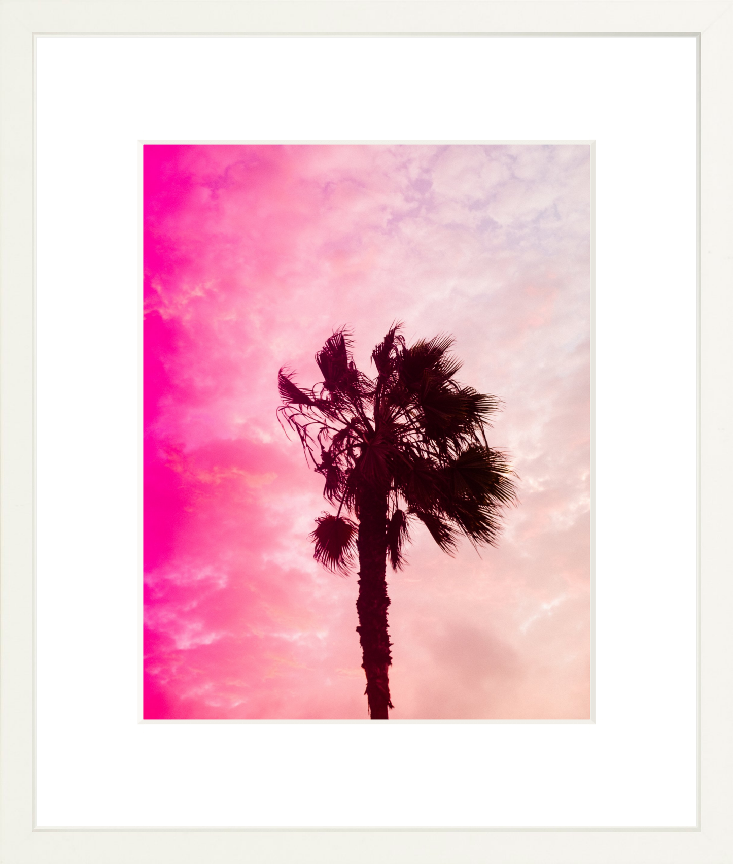 Pink Palm