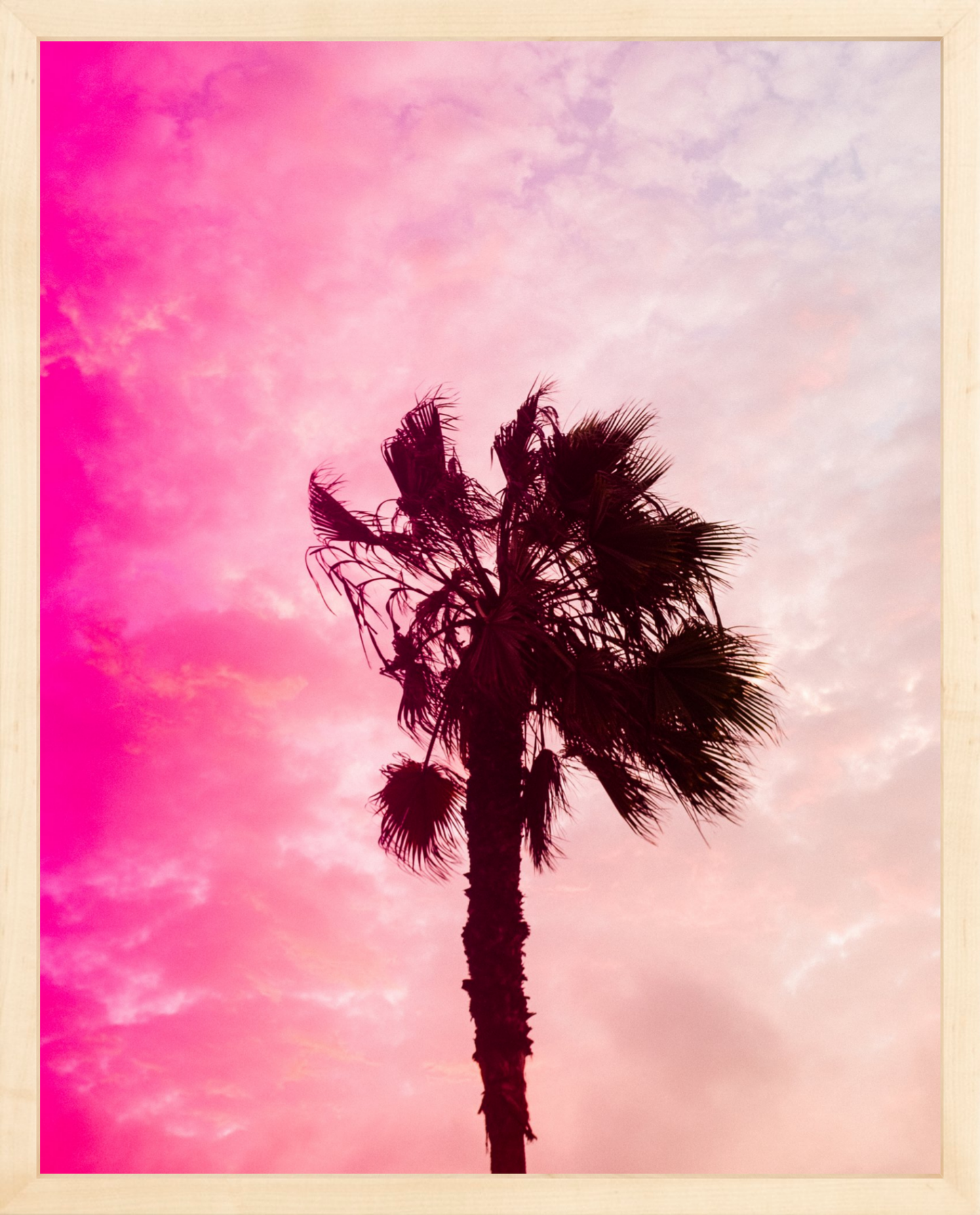 Pink Palm