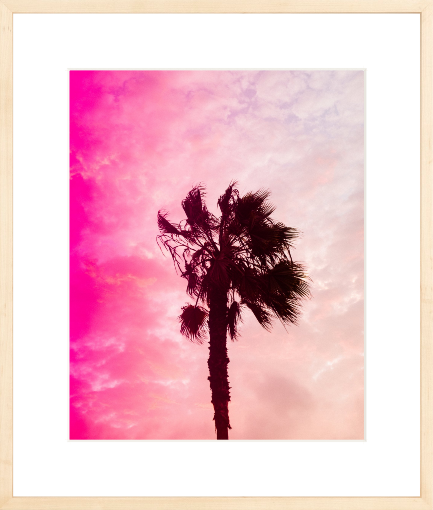 Pink Palm