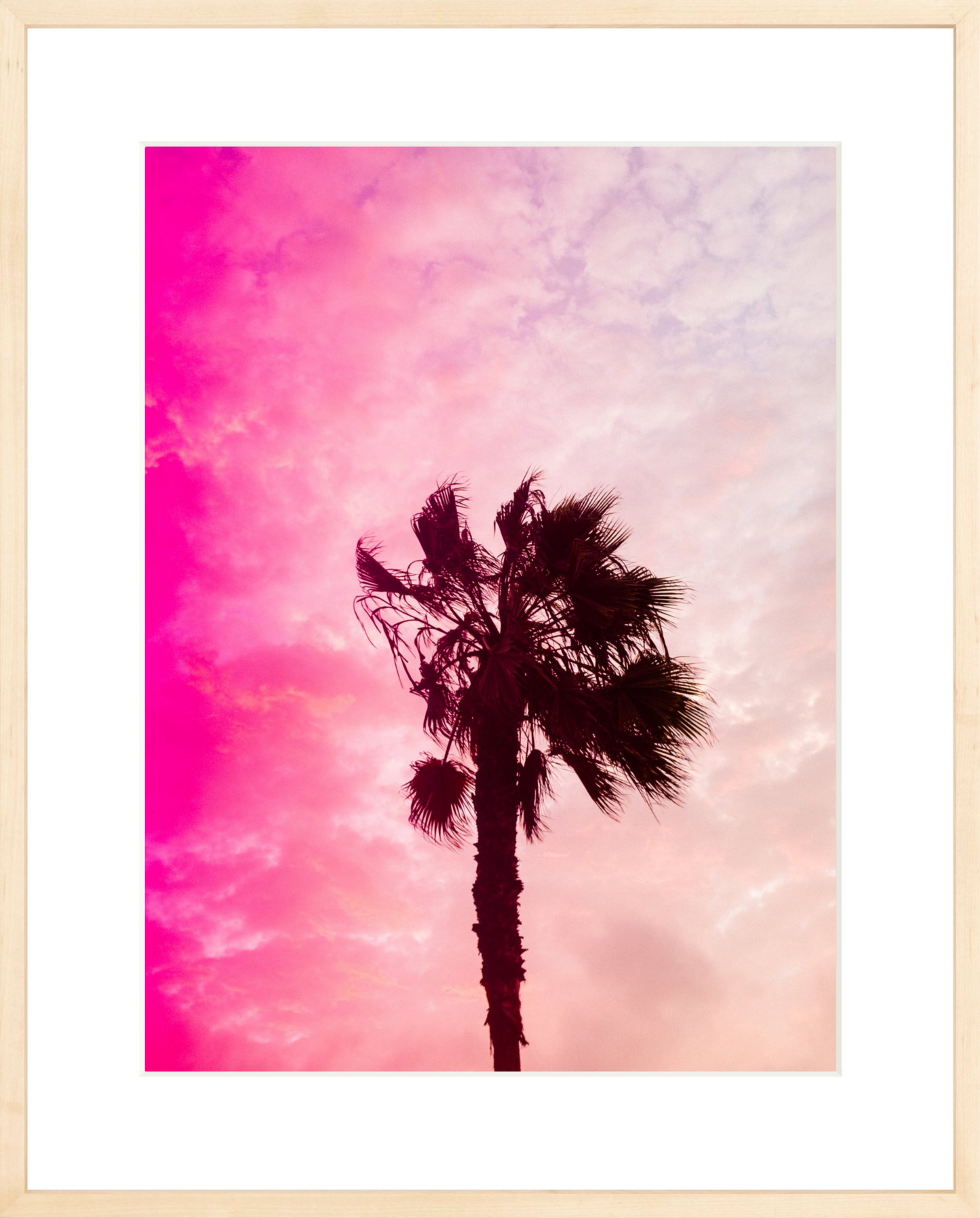 Pink Palm