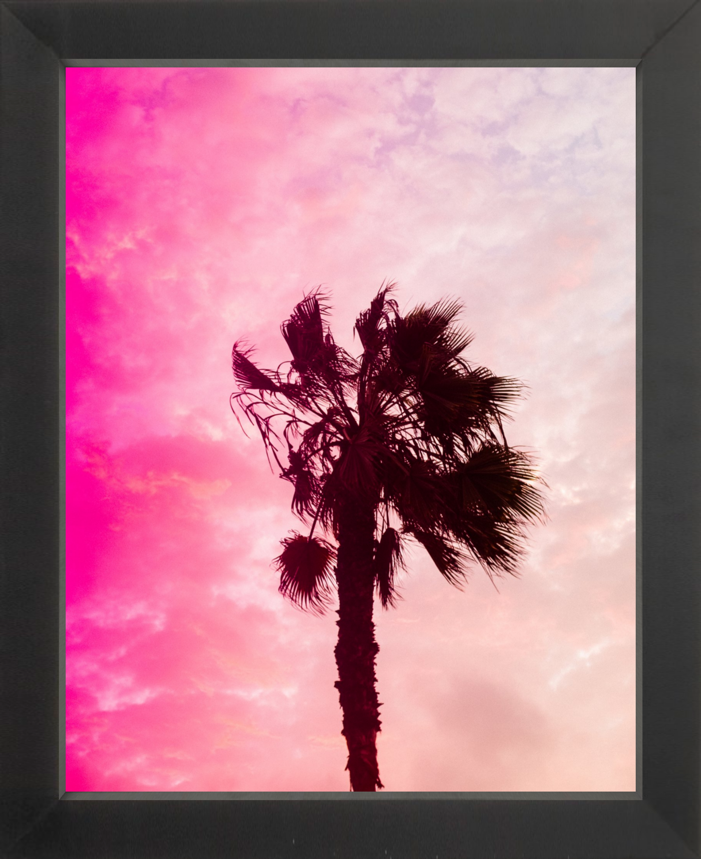 Pink Palm