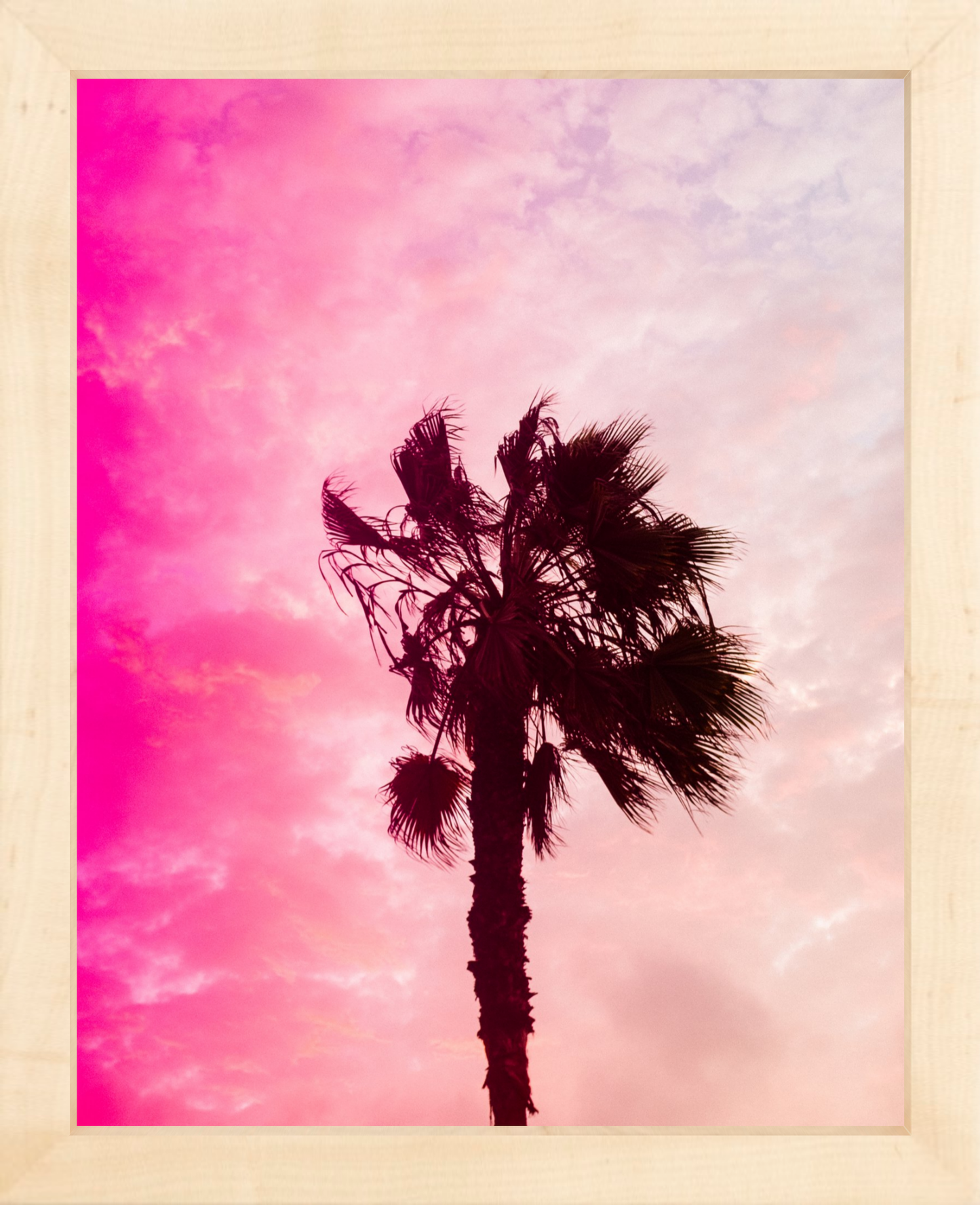 Pink Palm