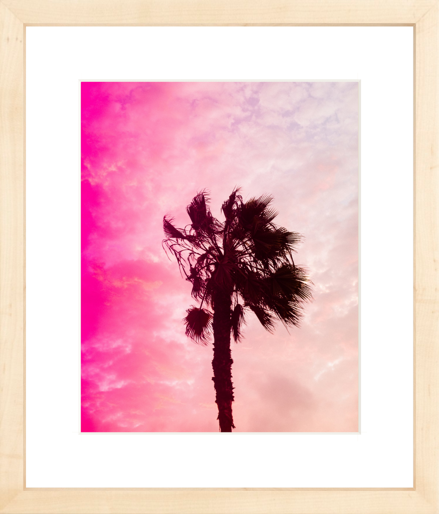 Pink Palm