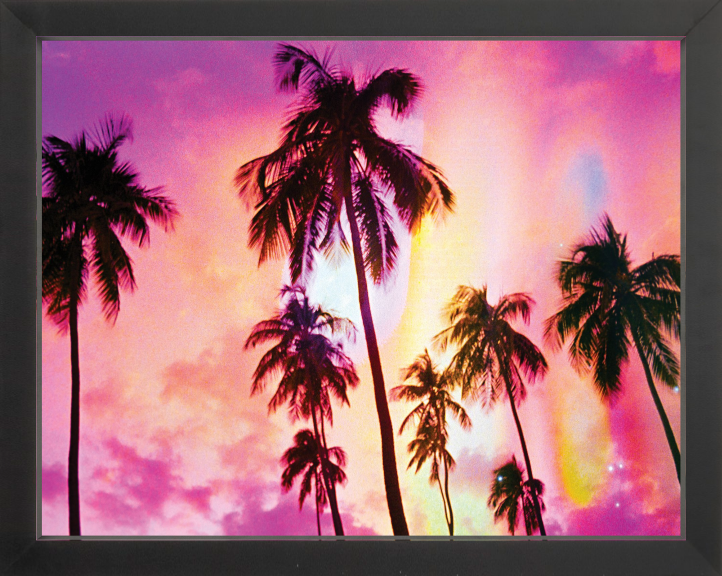 Pink Palm Dreams