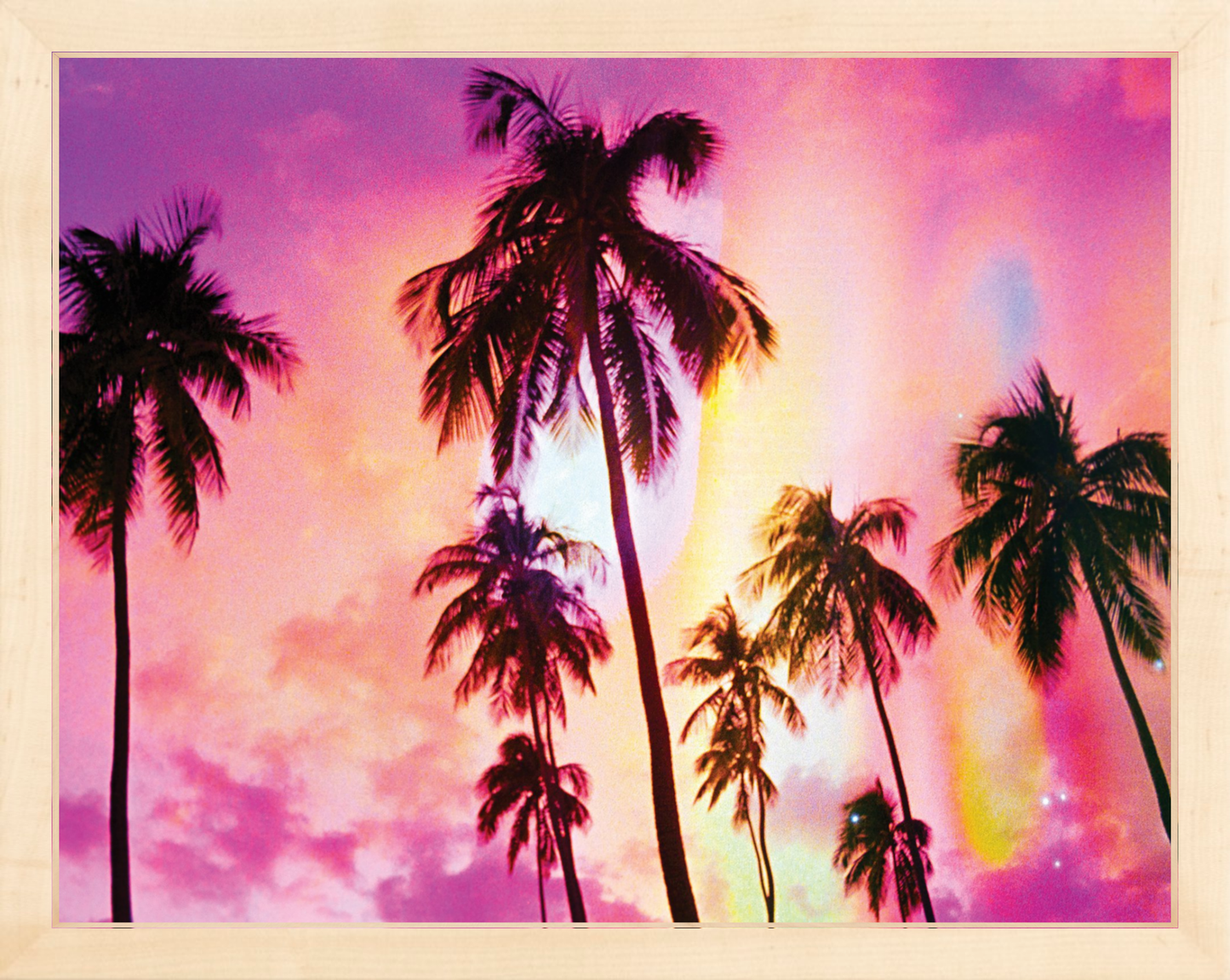 Pink Palm Dreams