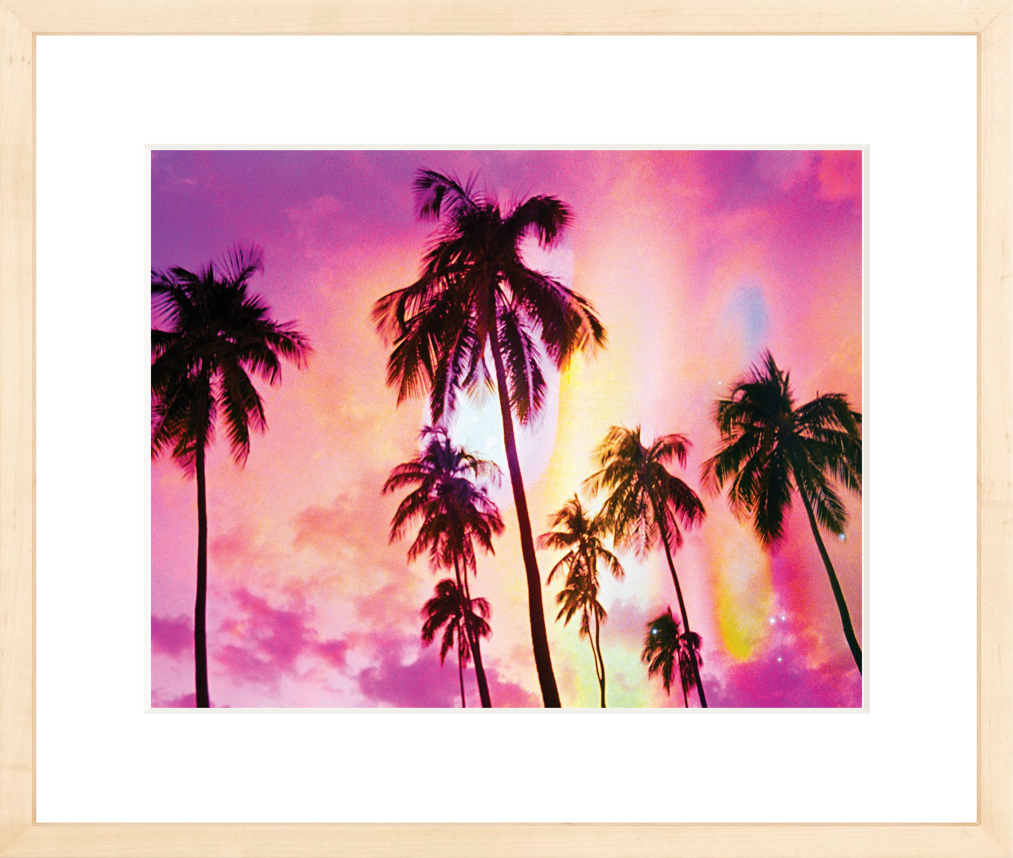 Pink Palm Dreams