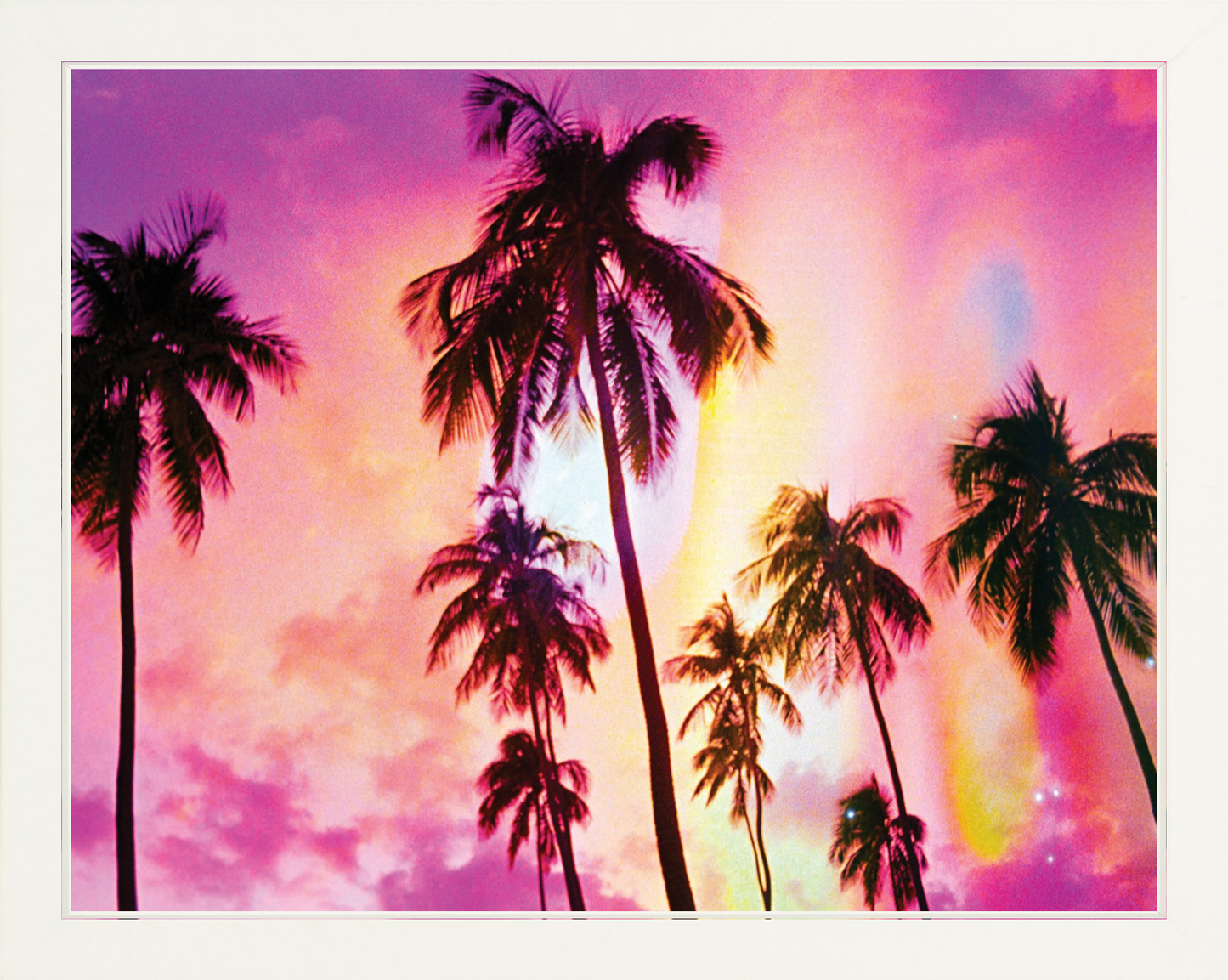 Pink Palm Dreams