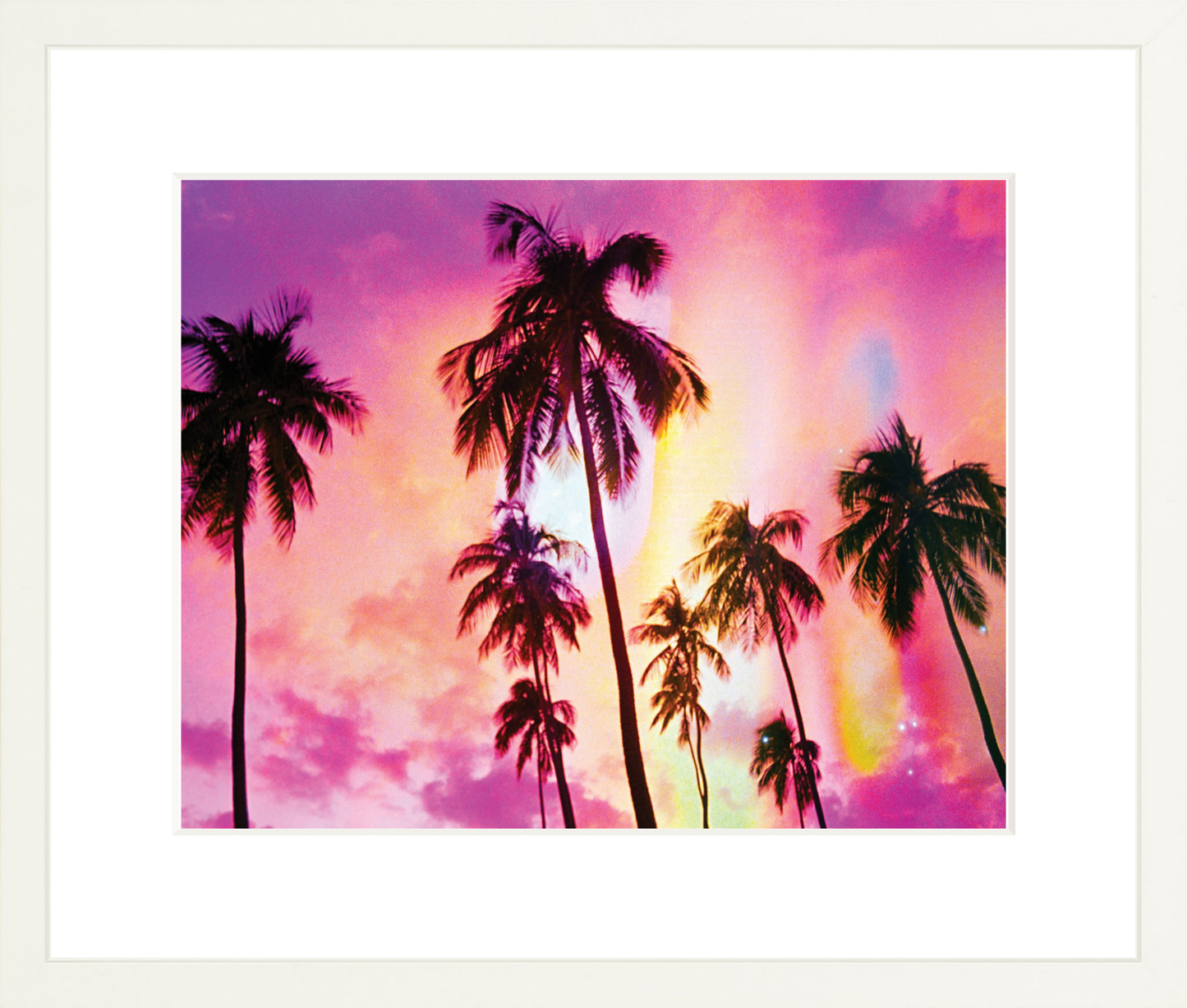 Pink Palm Dreams