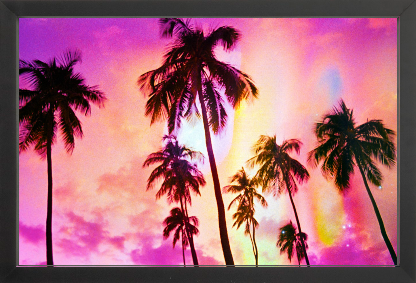 Pink Palm Dreams