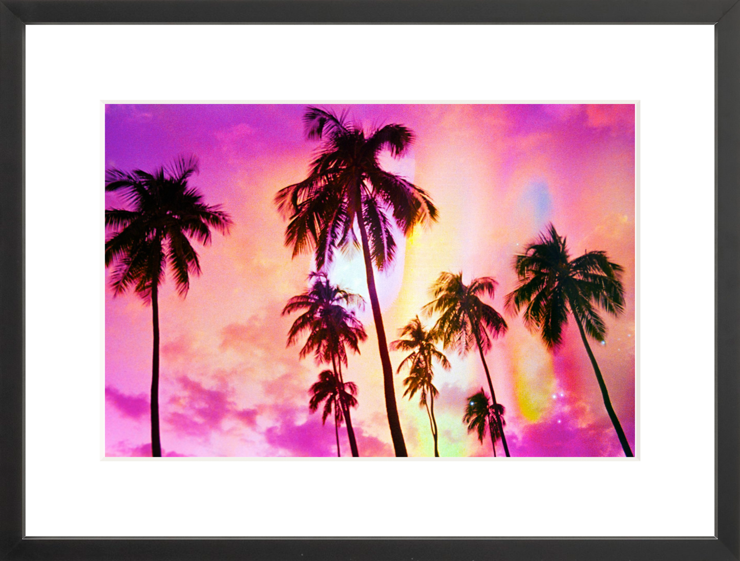 Pink Palm Dreams