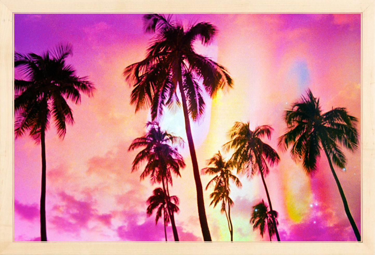 Pink Palm Dreams