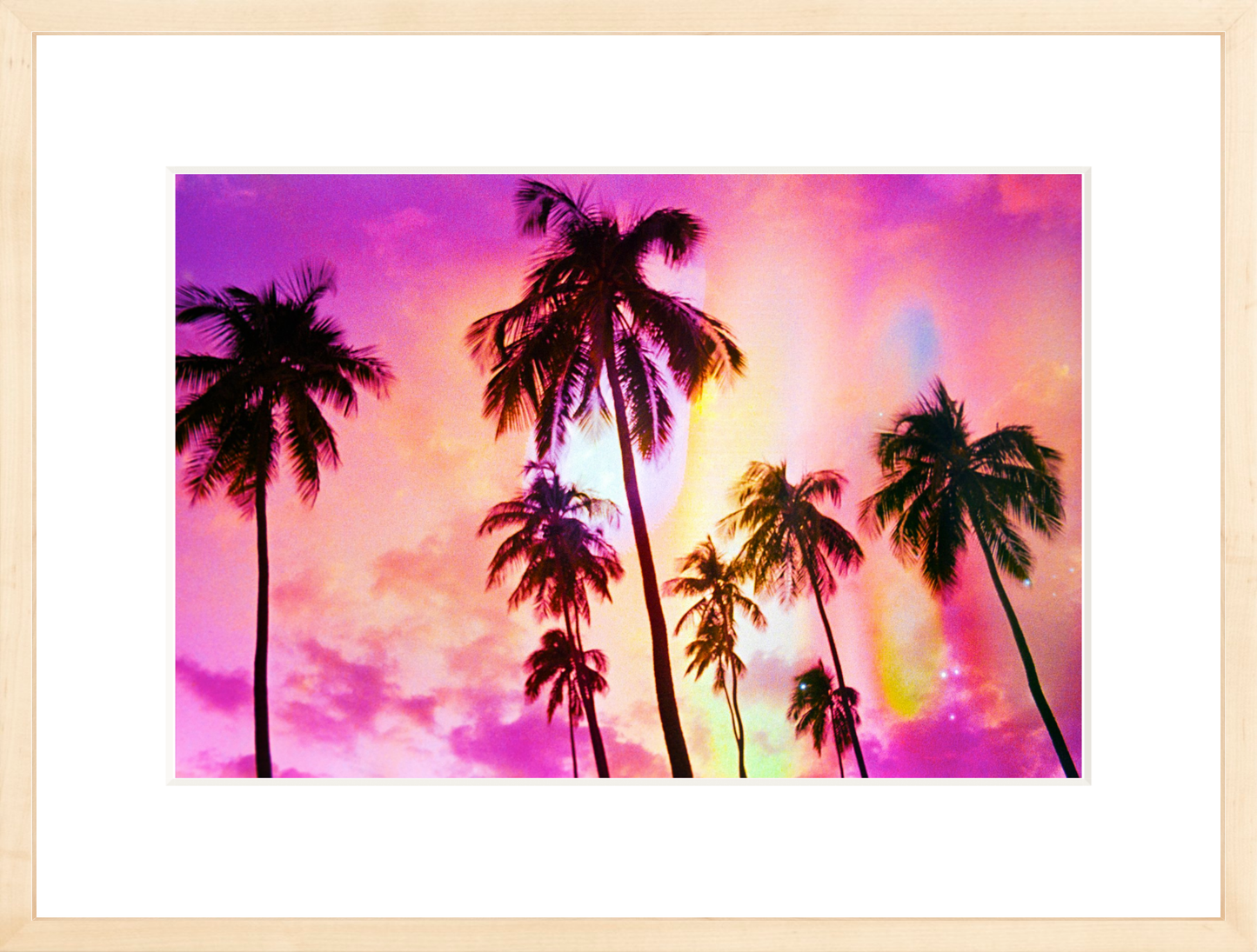 Pink Palm Dreams