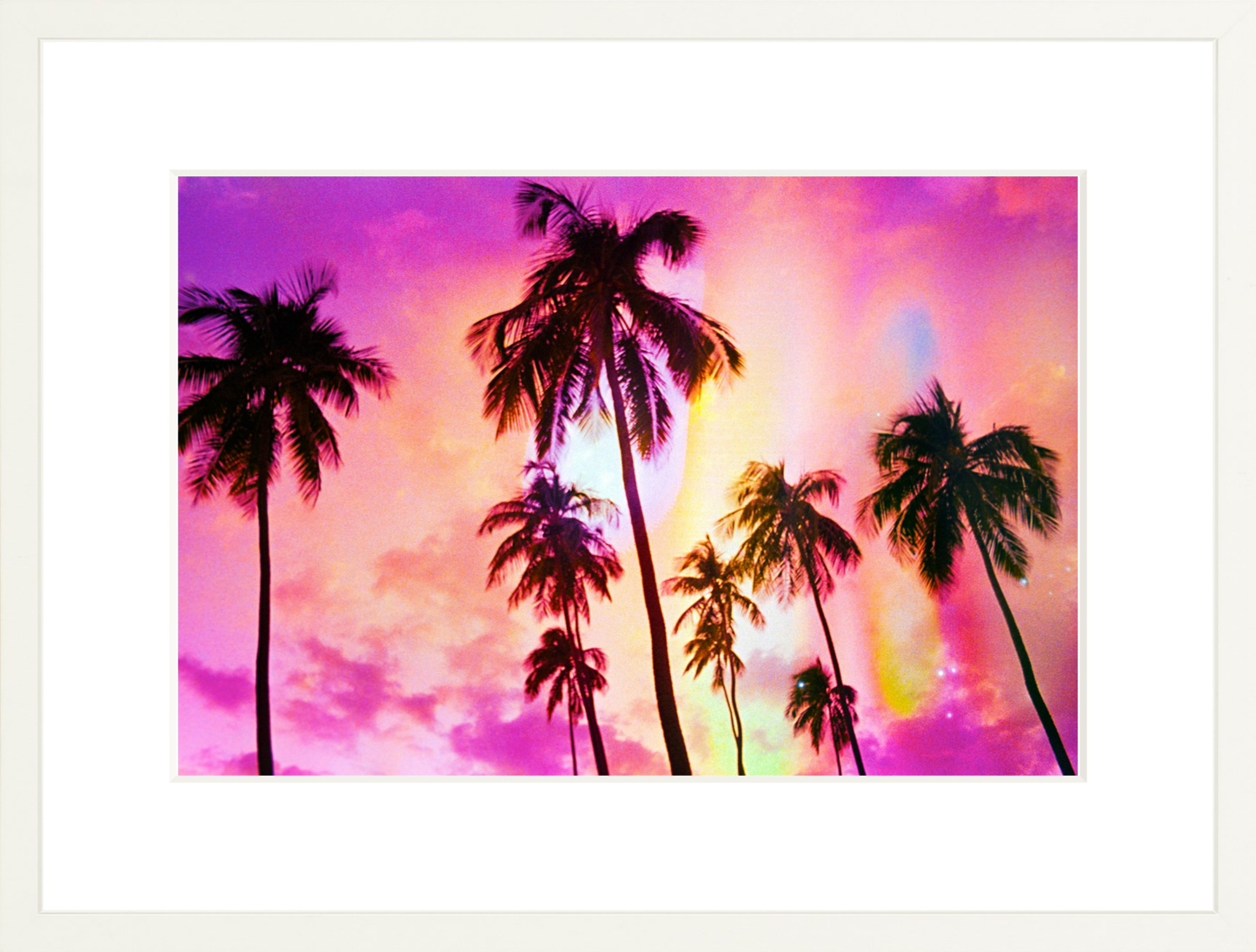 Pink Palm Dreams