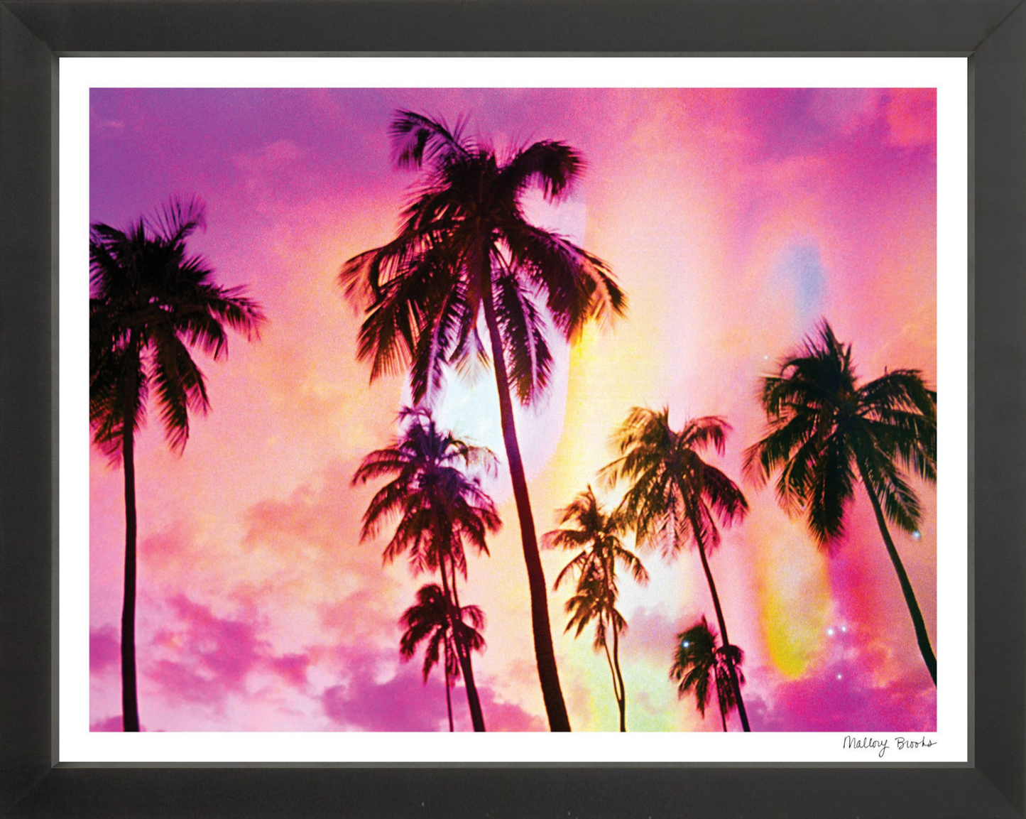Pink Palm Dreams