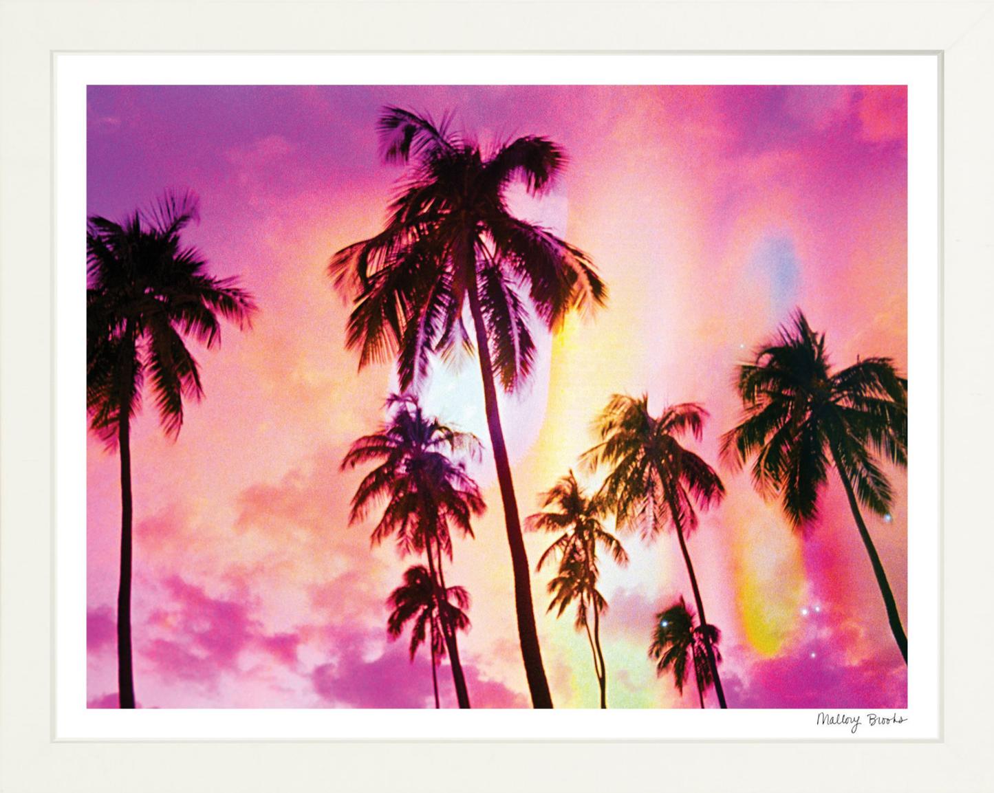 Pink Palm Dreams