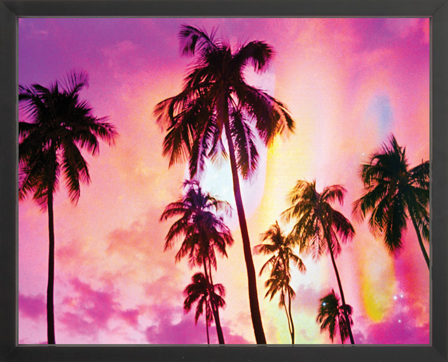 Pink Palm Dreams