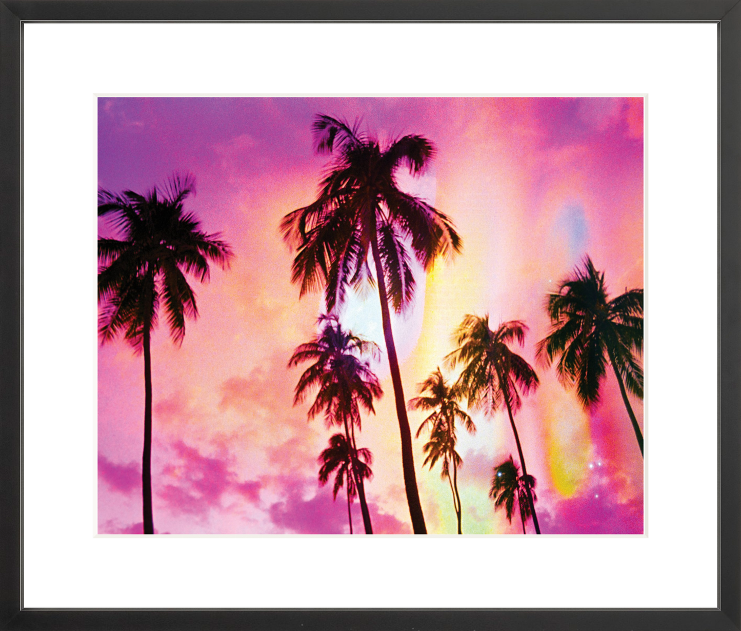 Pink Palm Dreams