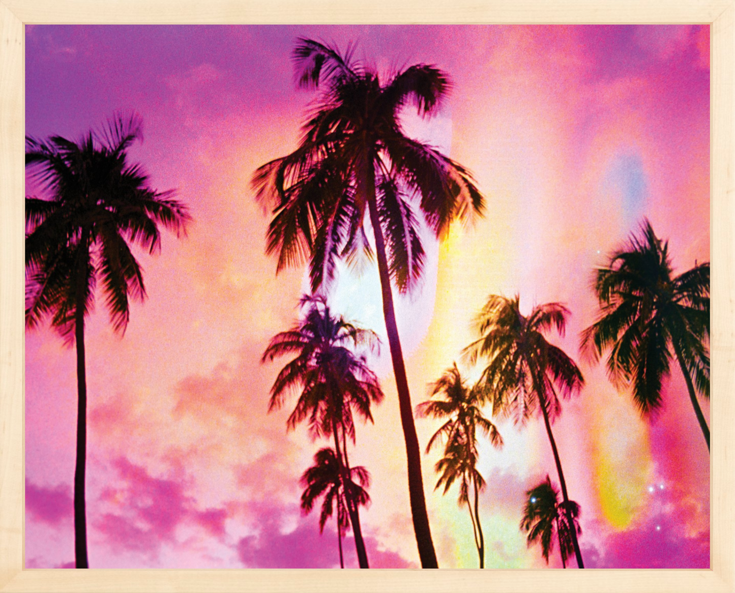 Pink Palm Dreams