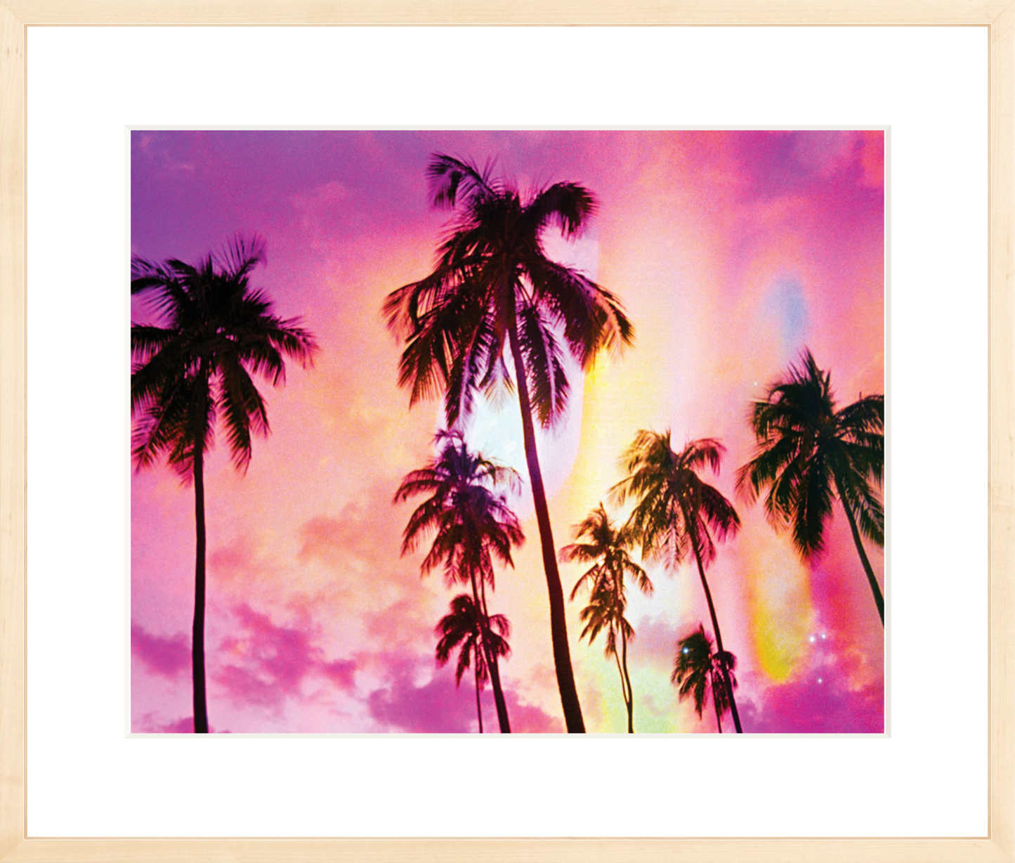 Pink Palm Dreams