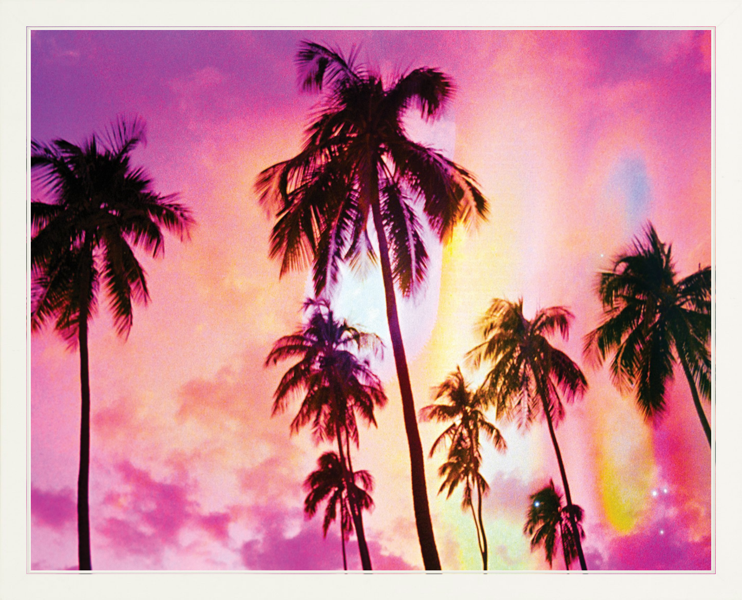 Pink Palm Dreams