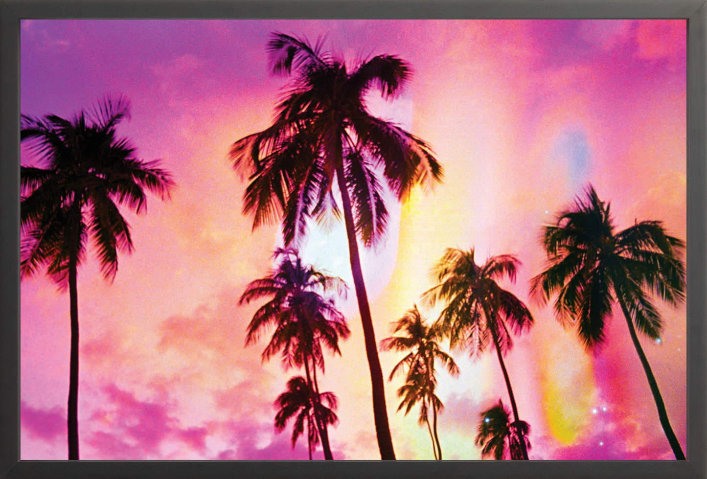 Pink Palm Dreams