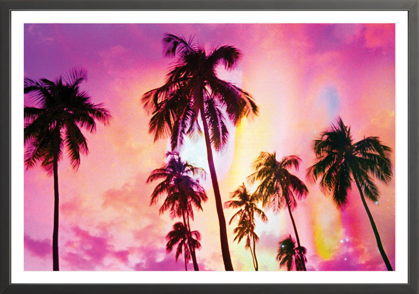 Pink Palm Dreams