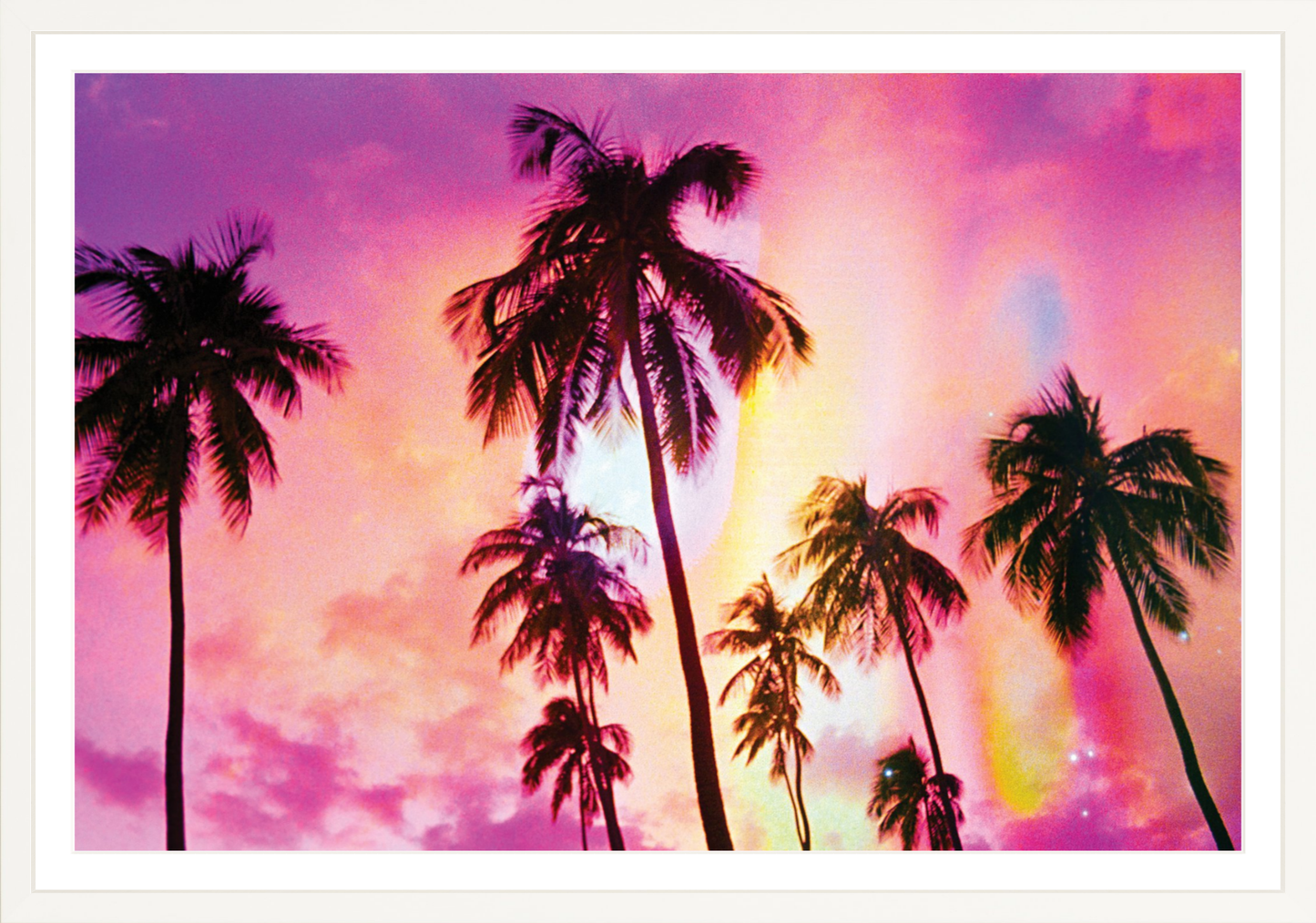 Pink Palm Dreams