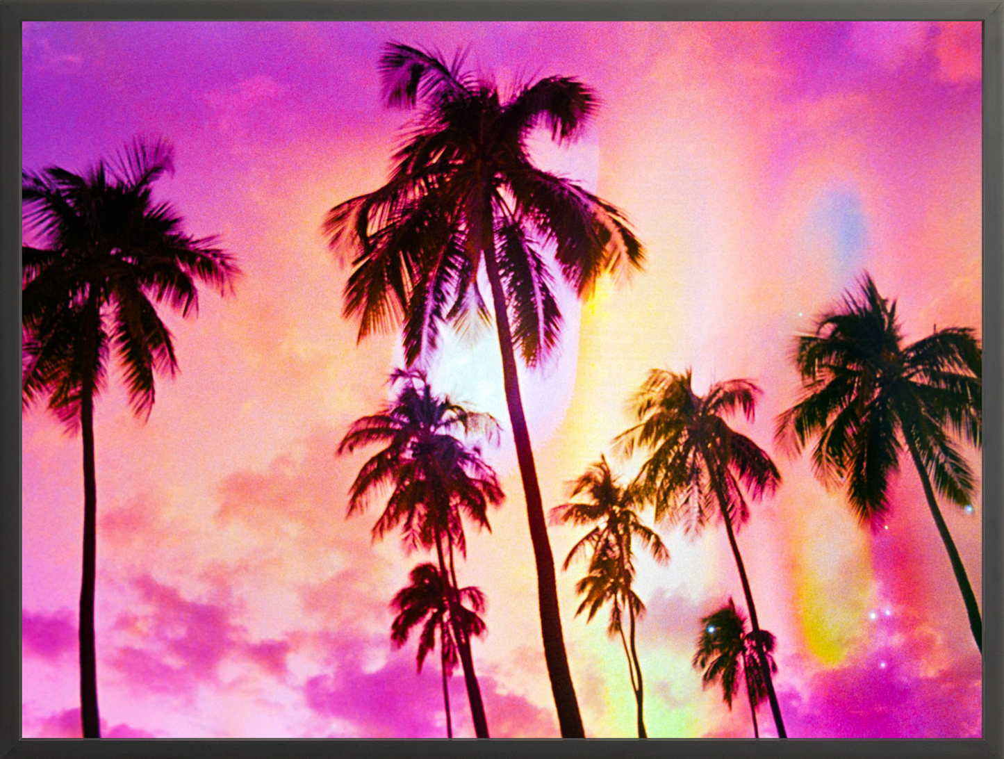 Pink Palm Dreams