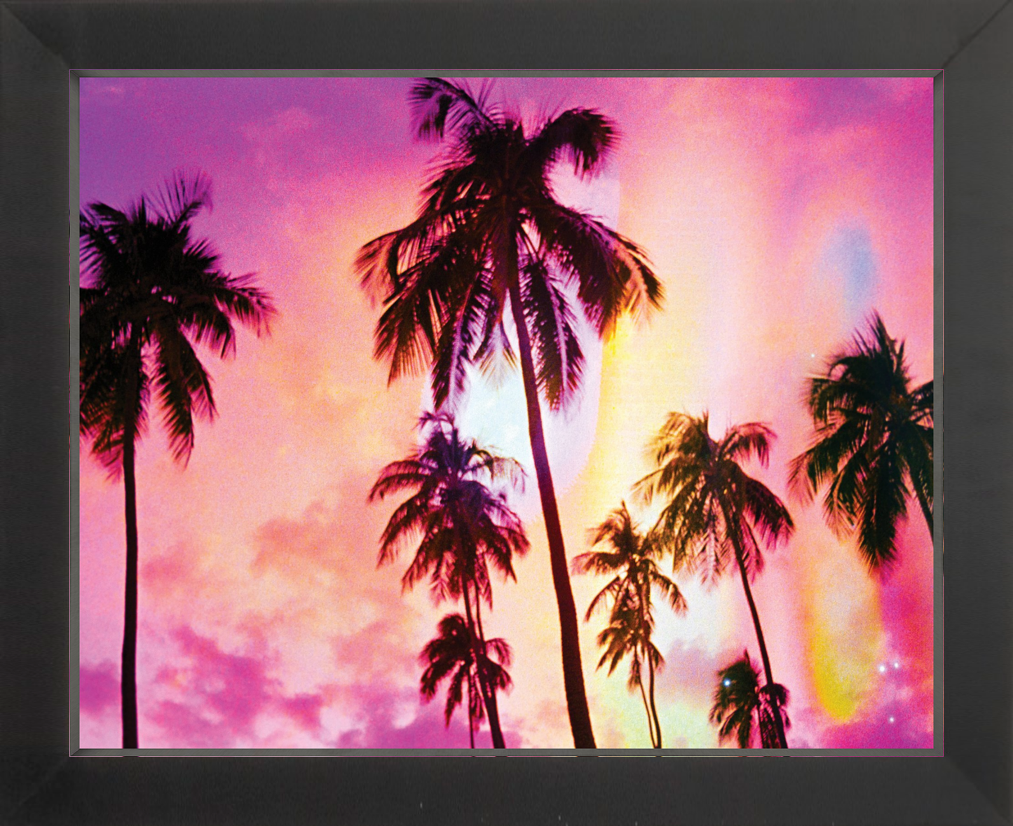 Pink Palm Dreams