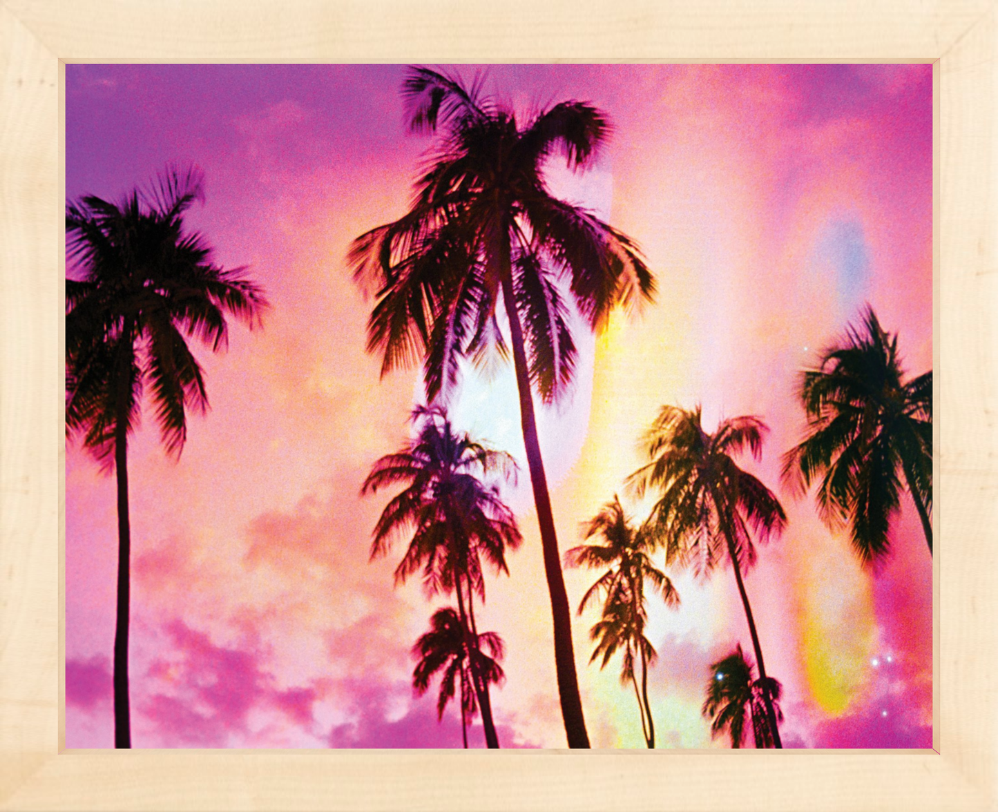 Pink Palm Dreams