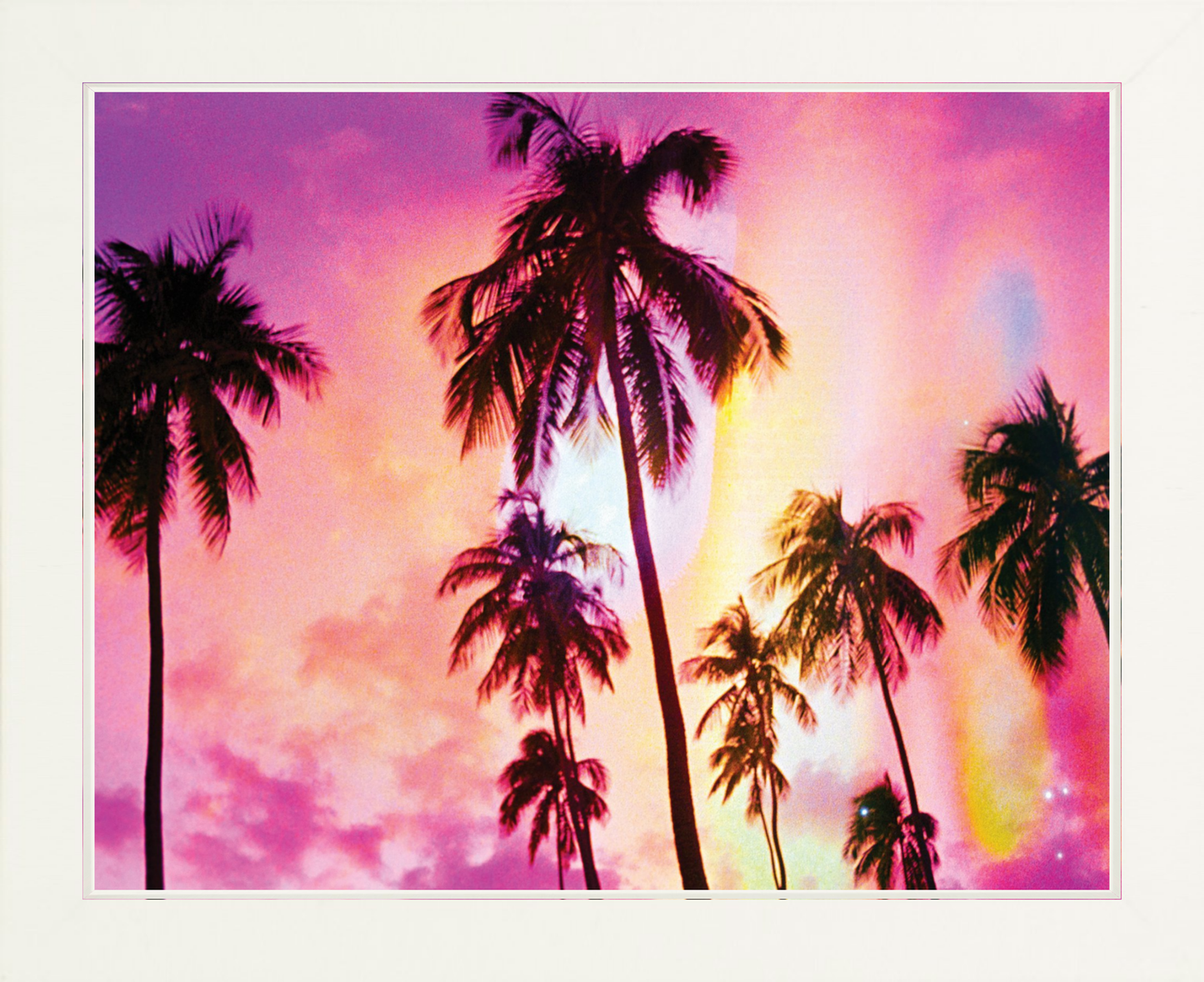 Pink Palm Dreams