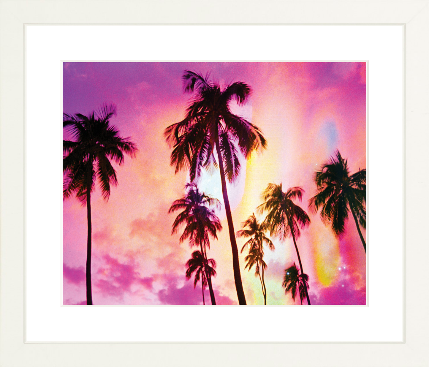 Pink Palm Dreams