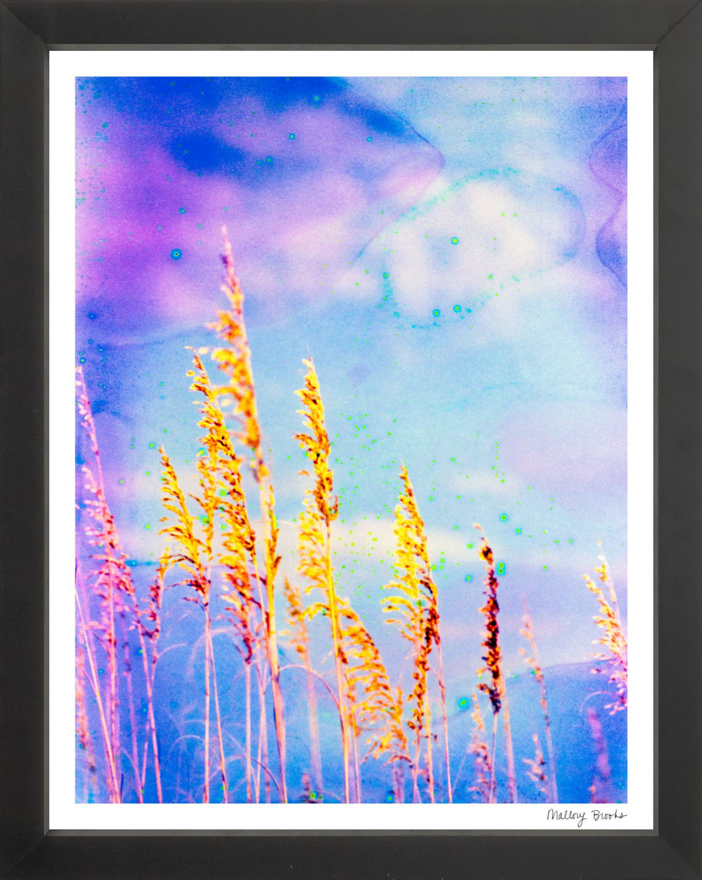 Sea Oat Blues