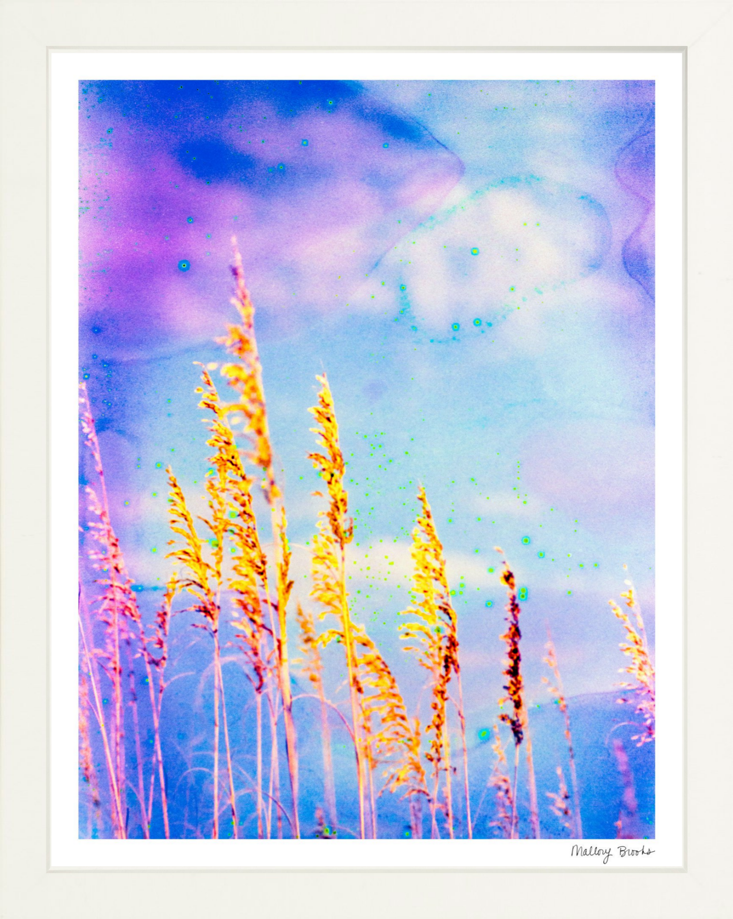 Sea Oat Blues
