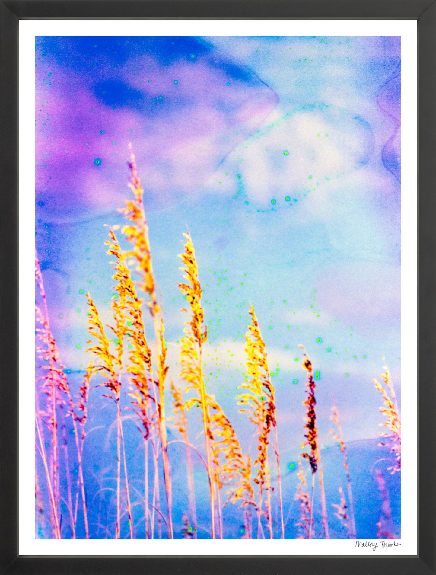 Sea Oat Blues