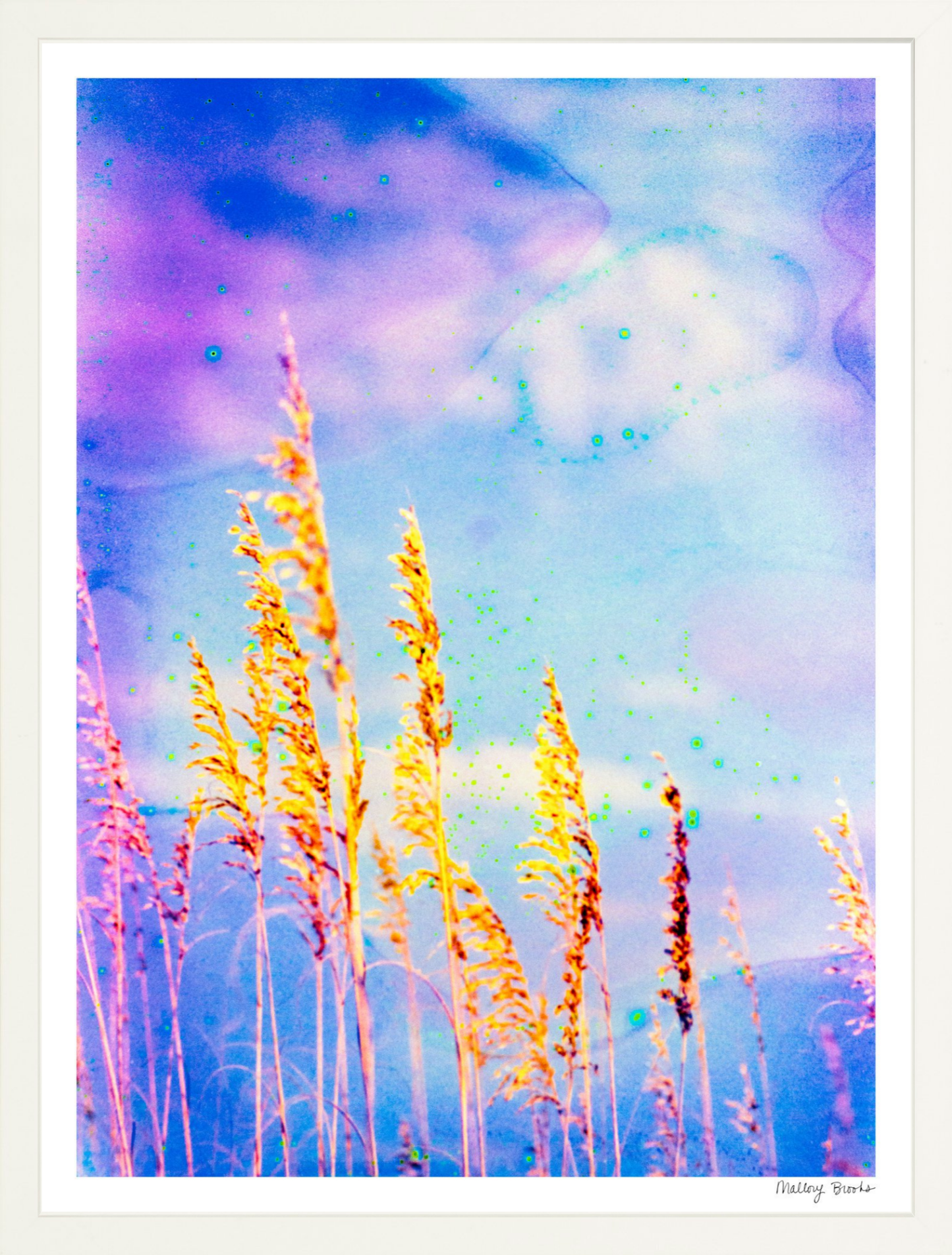 Sea Oat Blues