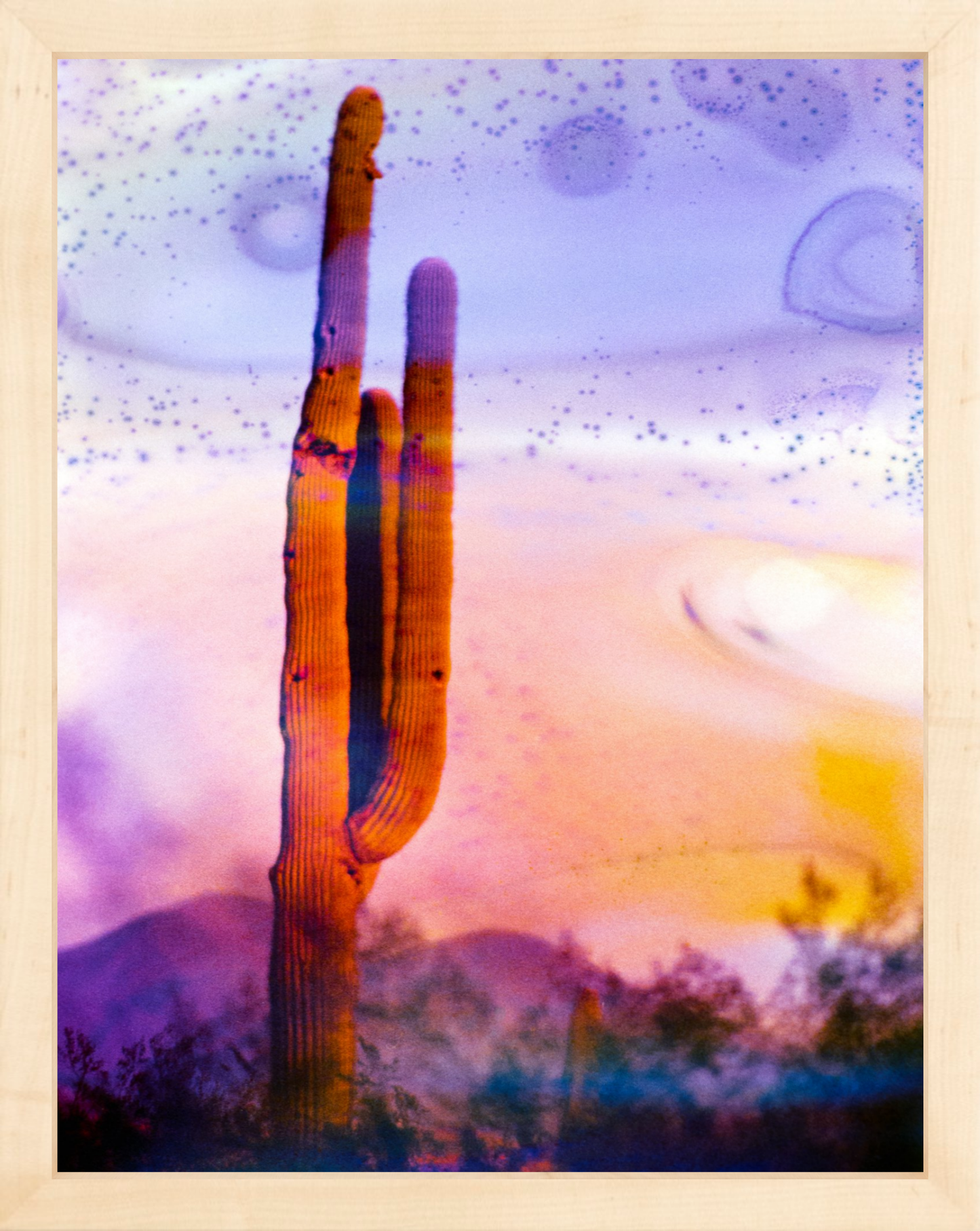 Solo Saguaro