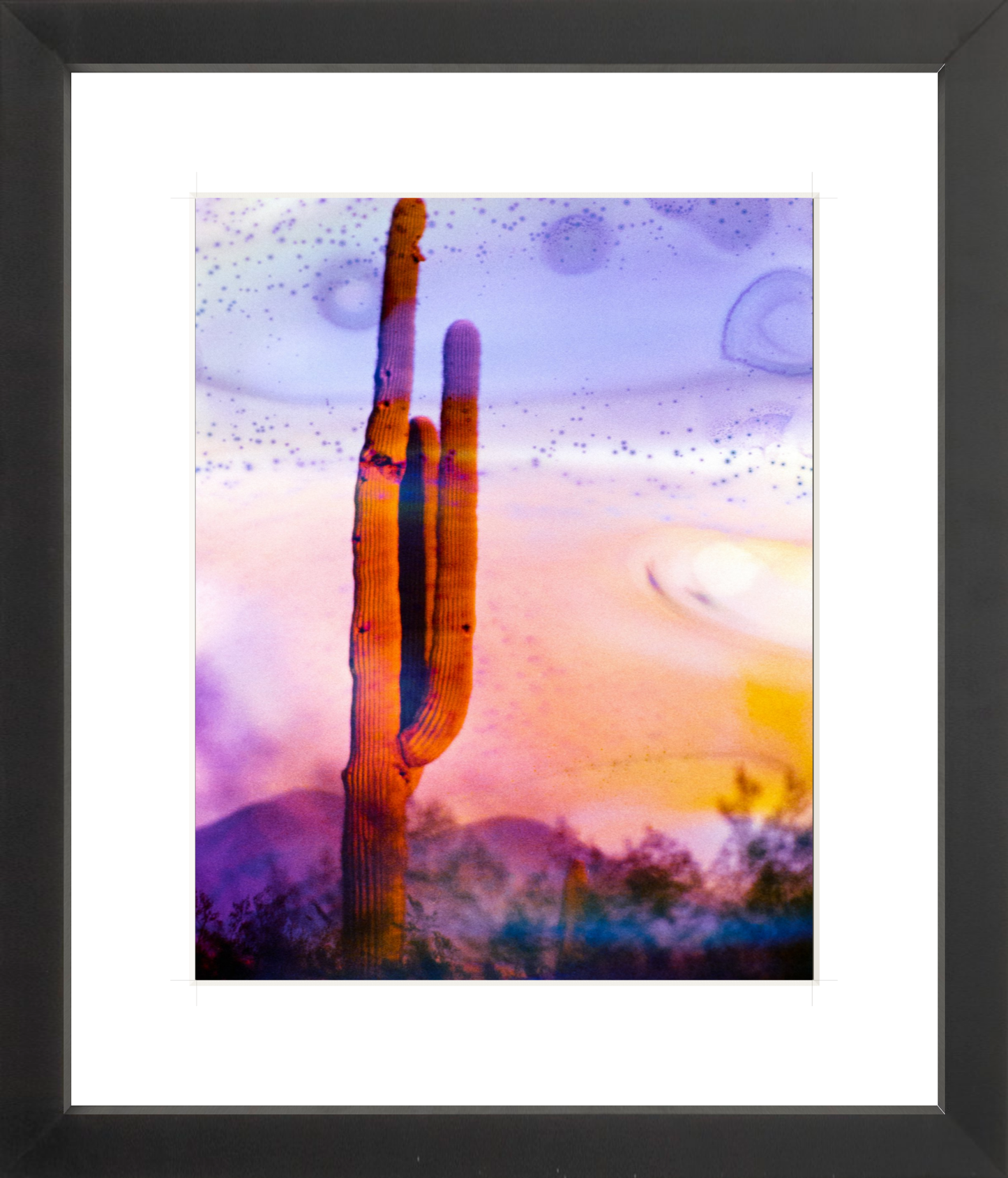 Solo Saguaro