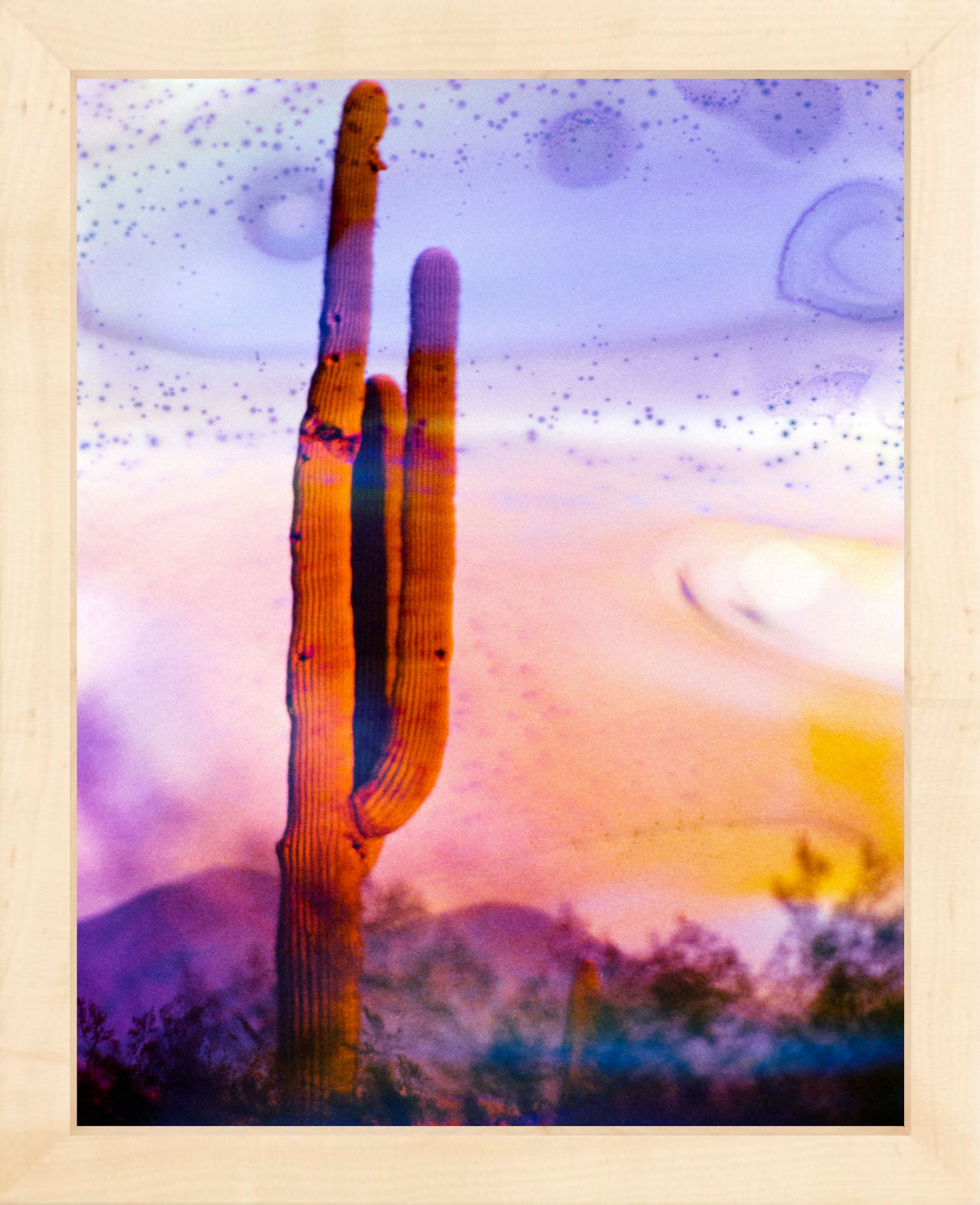 Solo Saguaro