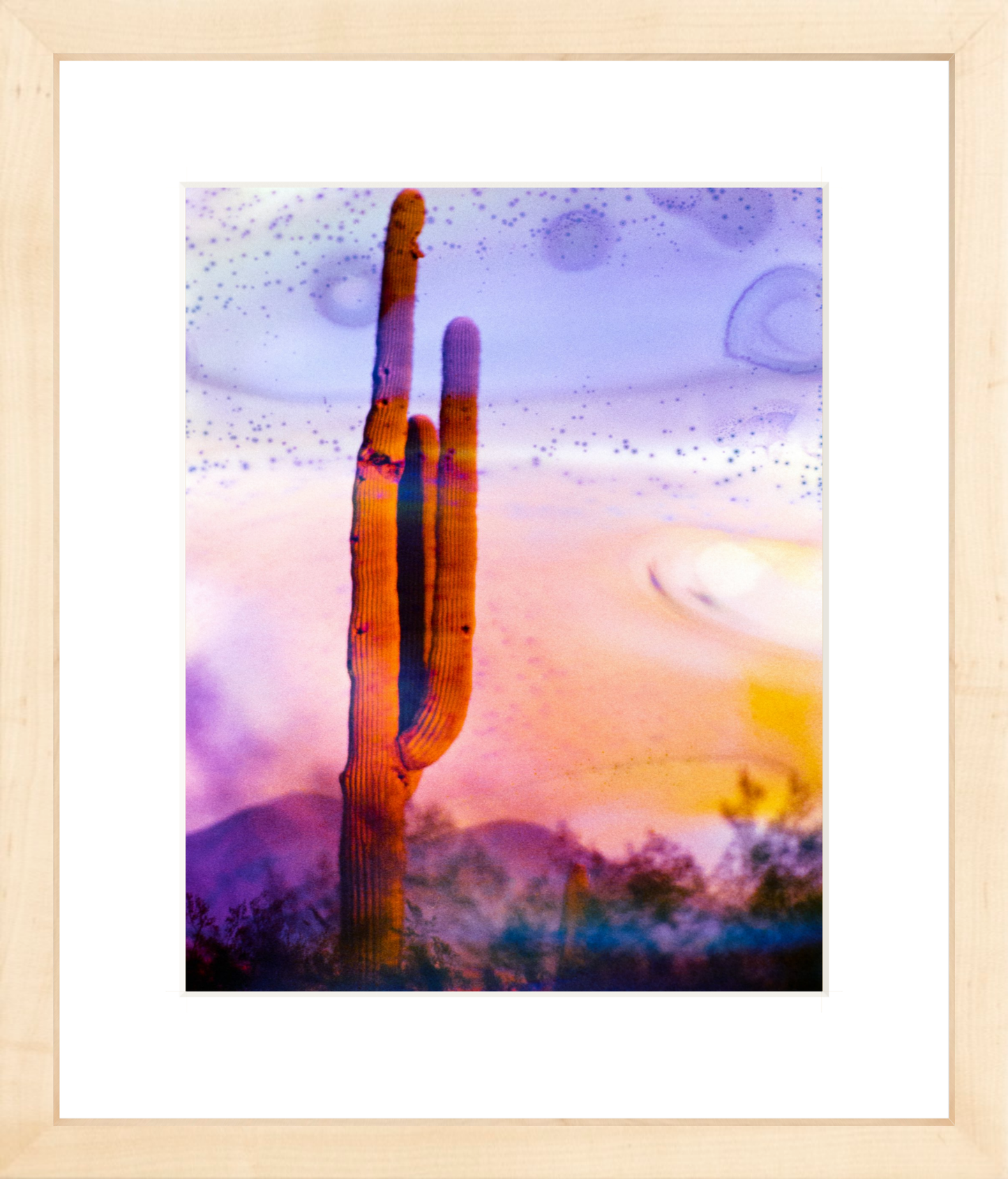 Solo Saguaro