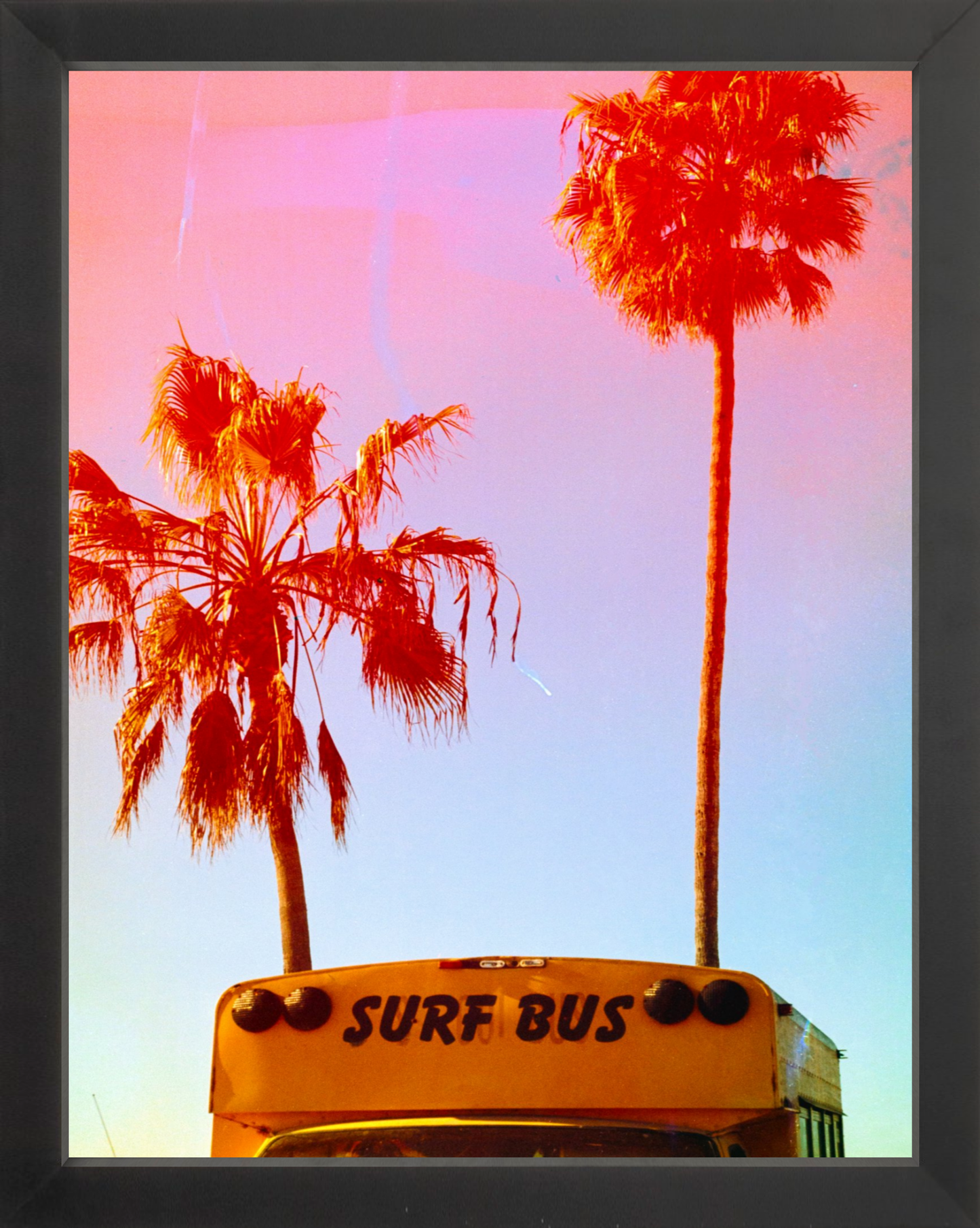 Surf Bus