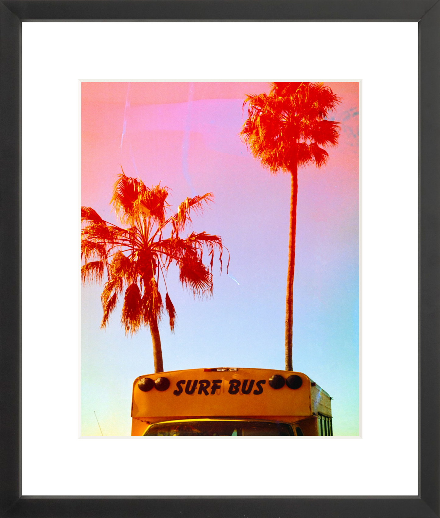 Surf Bus