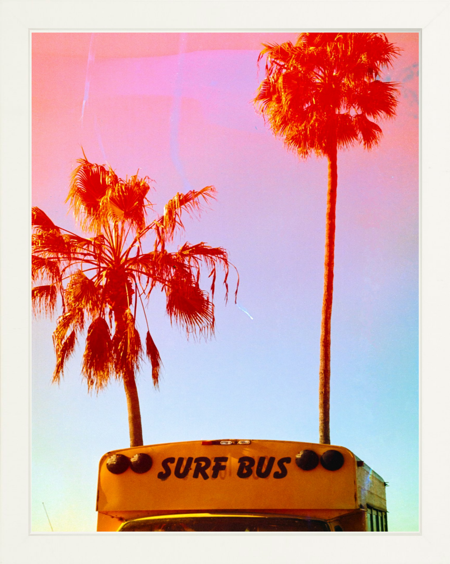 Surf Bus